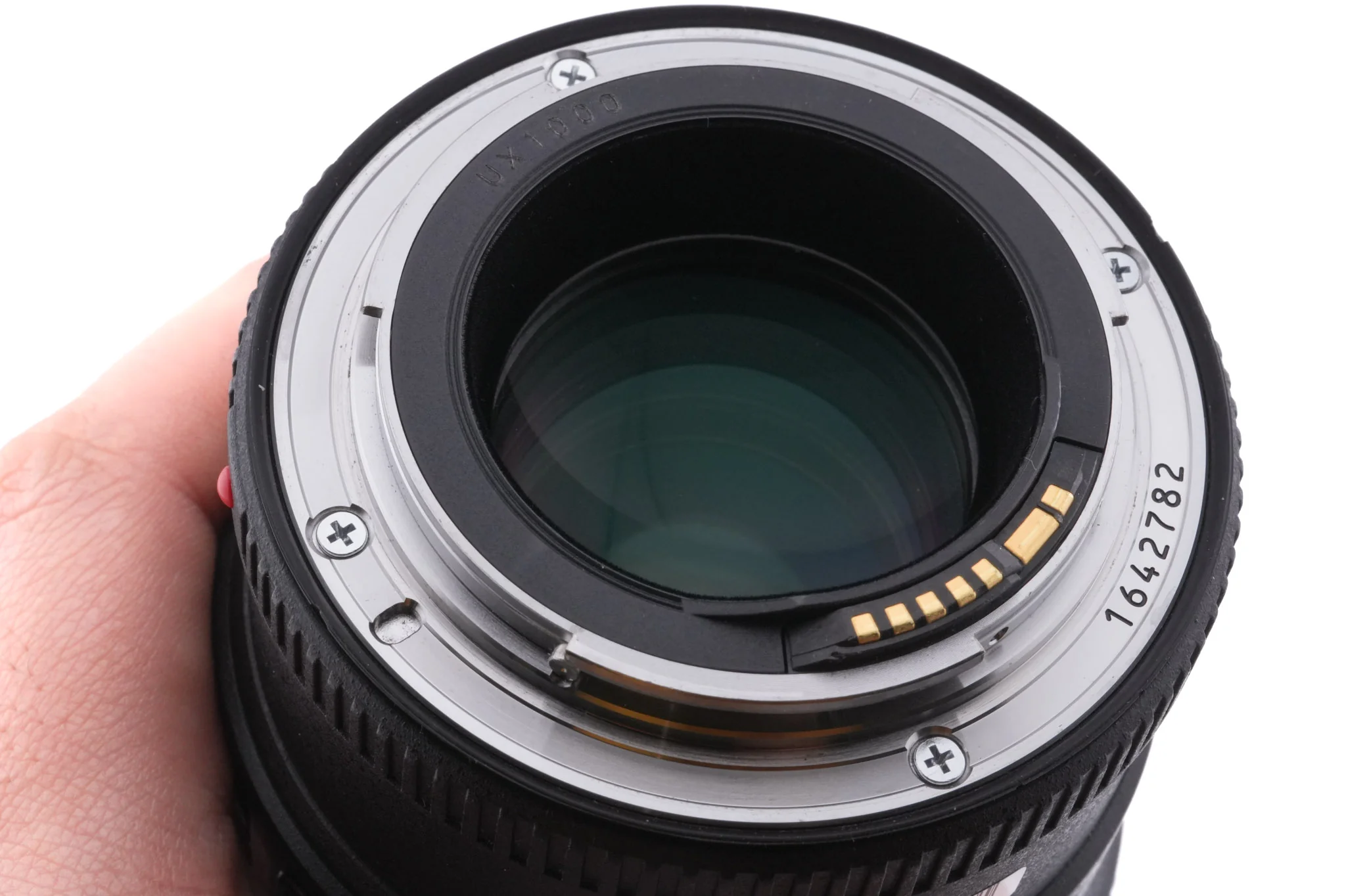 Canon 100mm f2.8 L Macro IS USM - Image 6