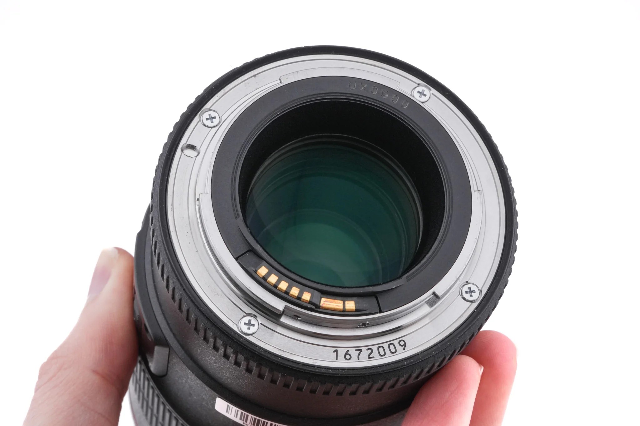 Canon 100mm f2.8 L Macro IS USM - Image 4