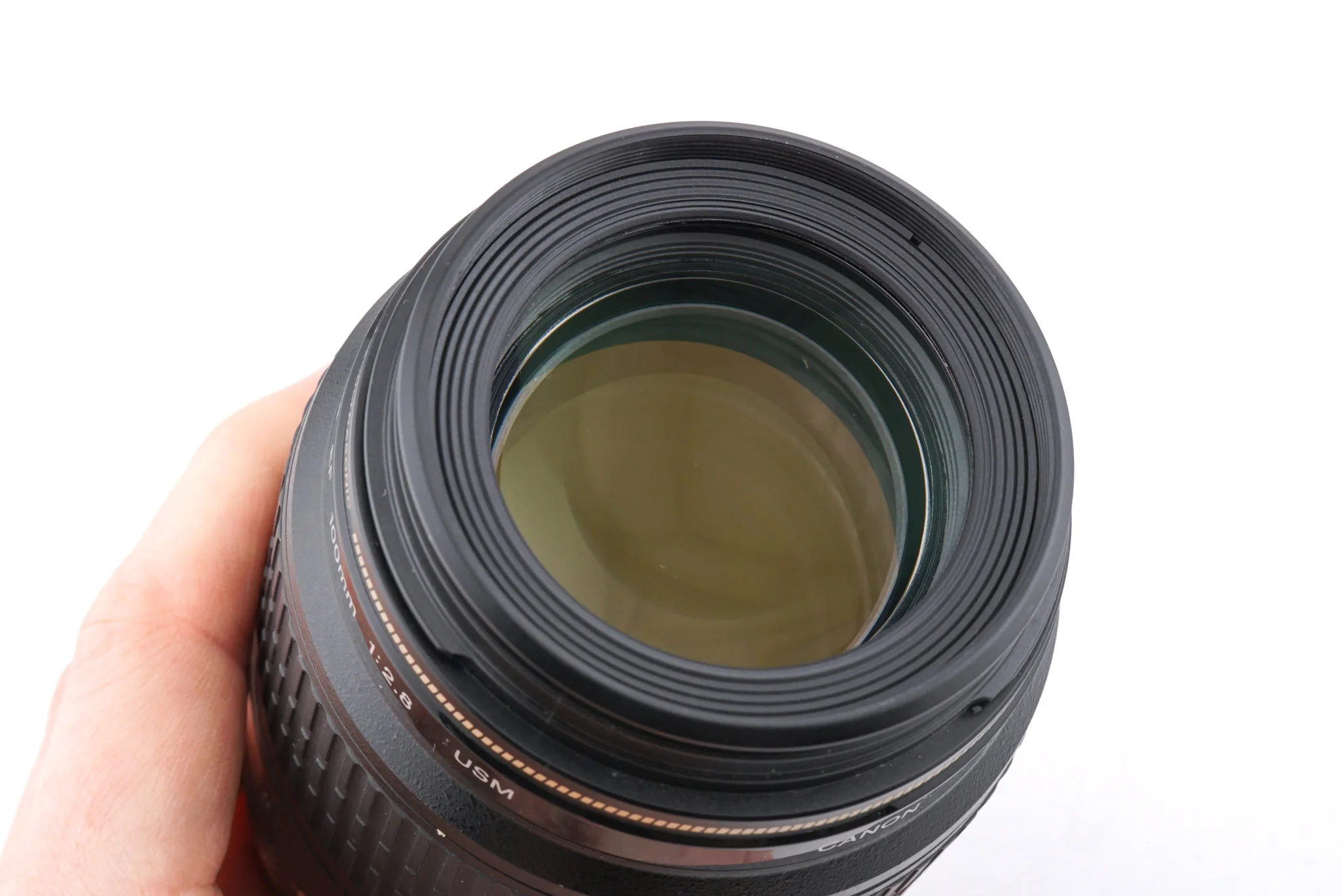Canon 100mm f2.8 Macro USM - Image 5