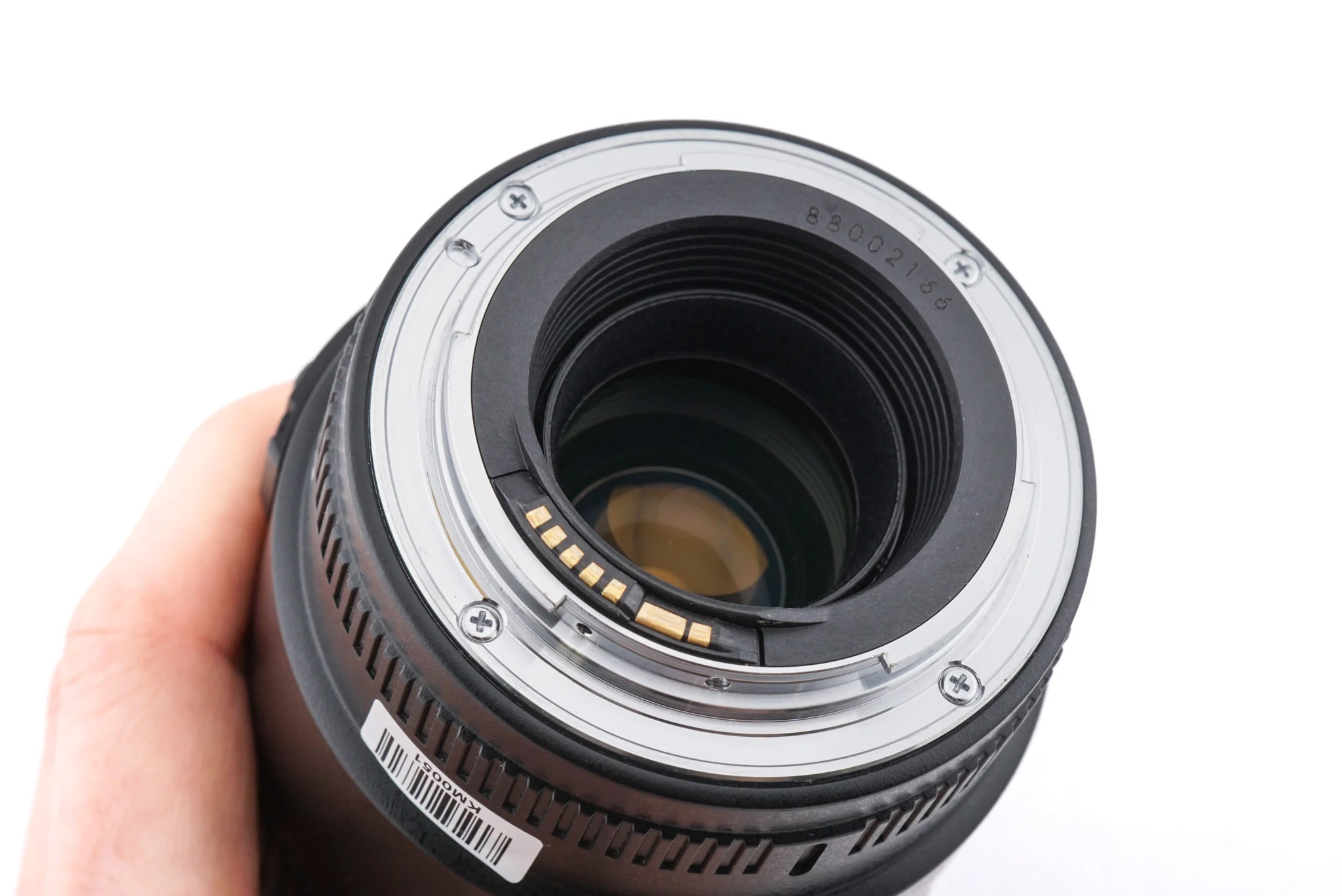 Canon 100mm f2.8 Macro USM - Image 6