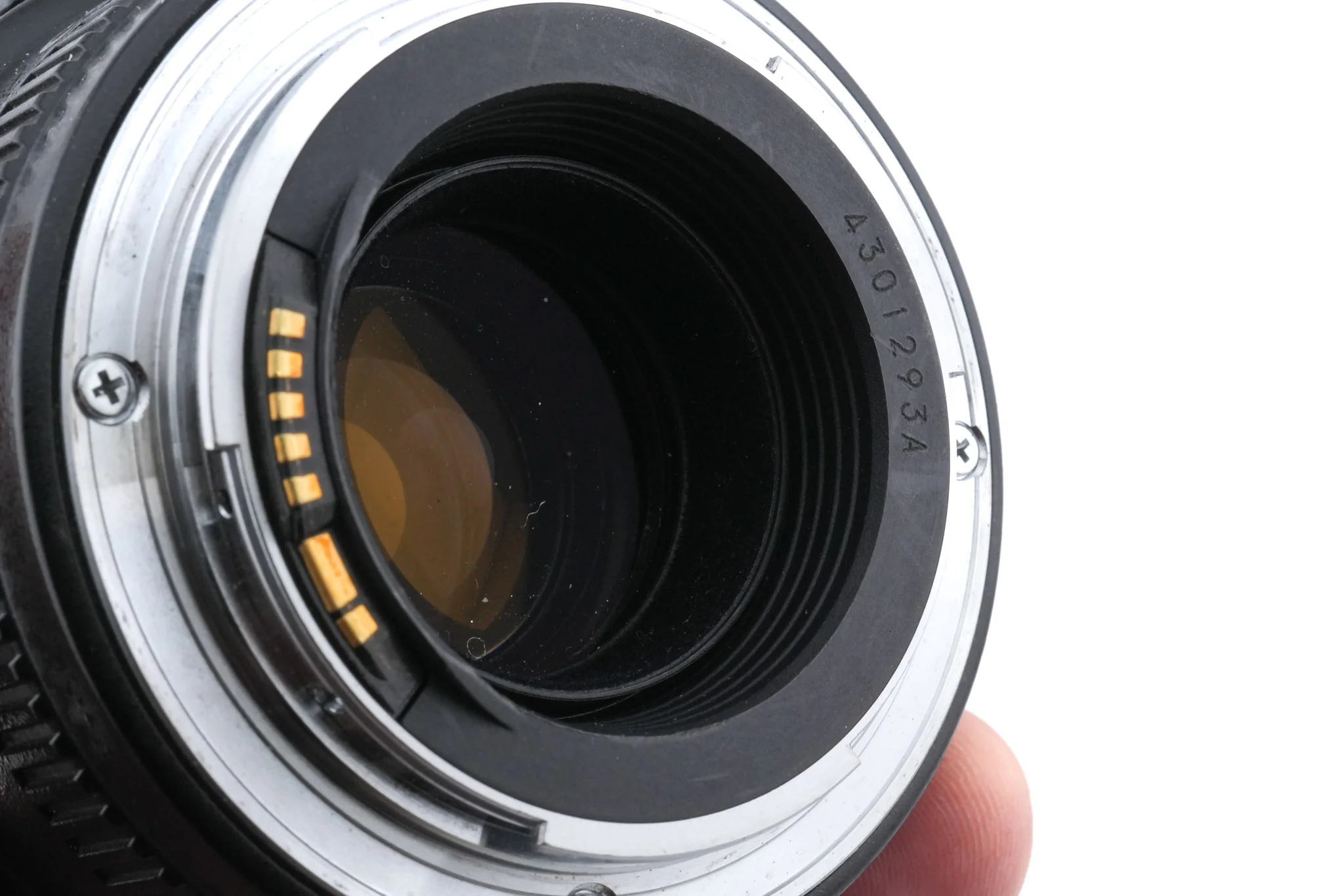 Canon 100mm f2.8 Macro USM - Image 4