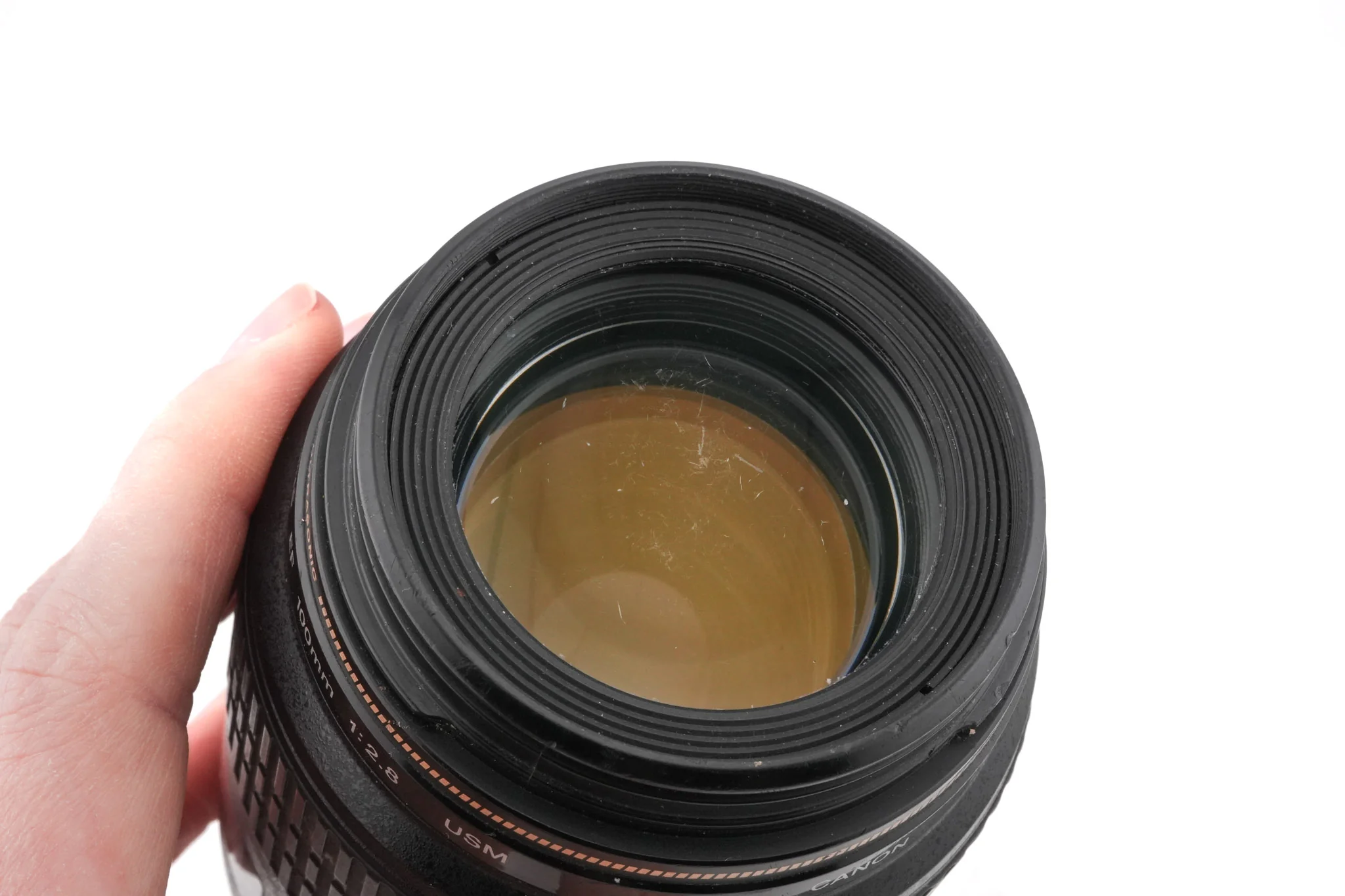 Canon 100mm f2.8 Macro USM - Image 5