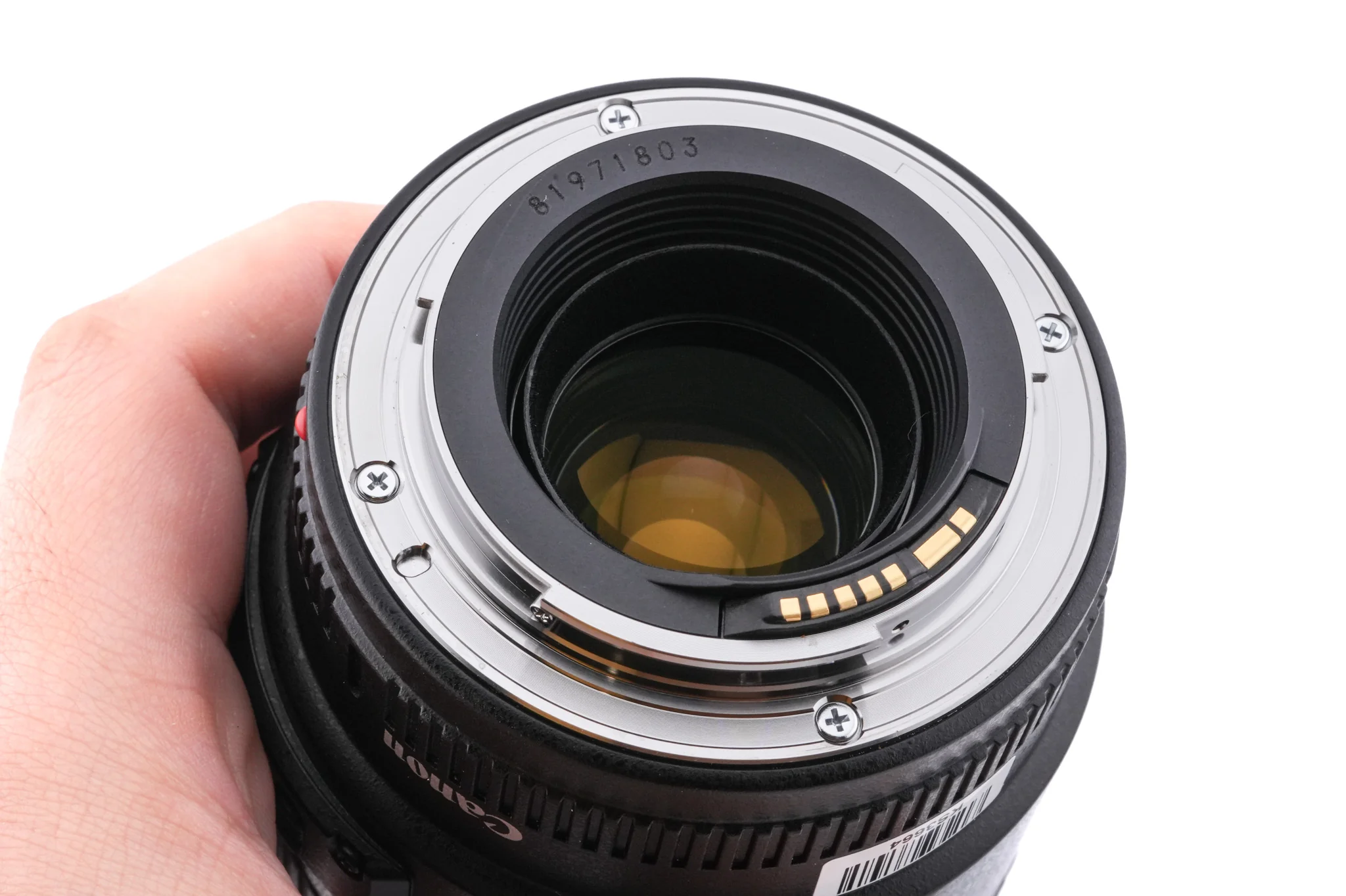 Canon 100mm f2.8 Macro USM - Image 6