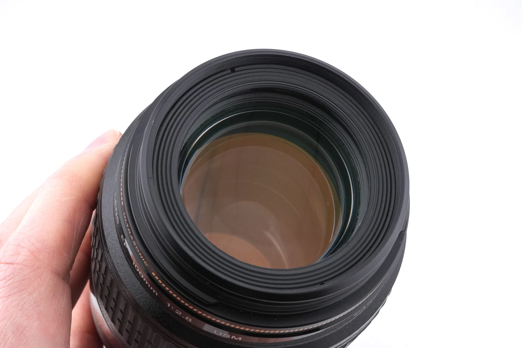 Canon 100mm f2.8 Macro USM - Image 5