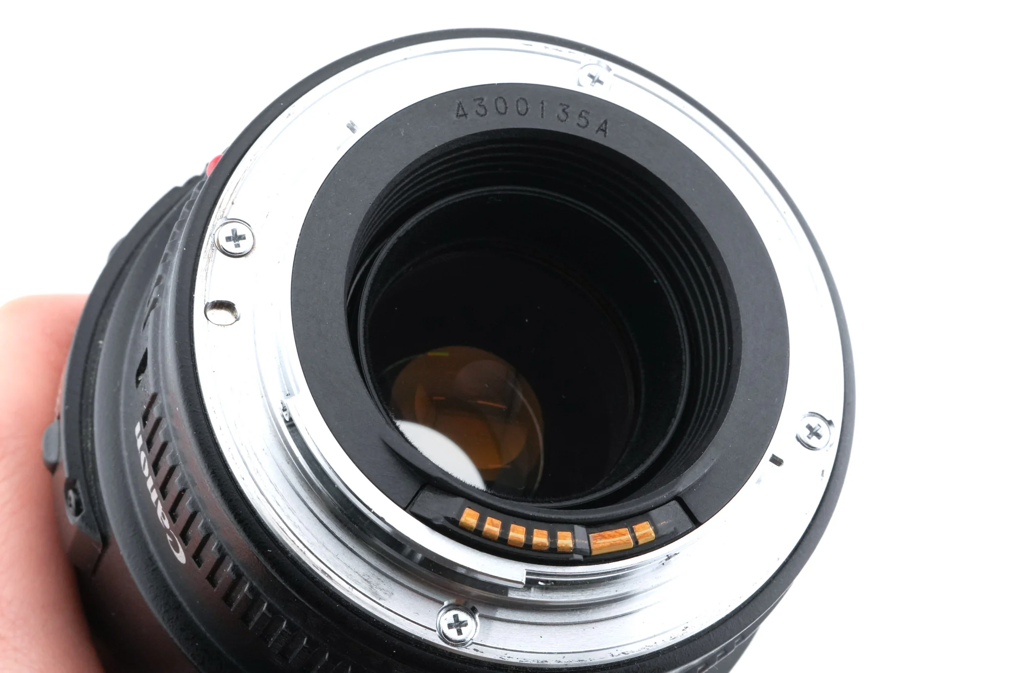 Canon 100mm f2.8 Macro USM - Image 4
