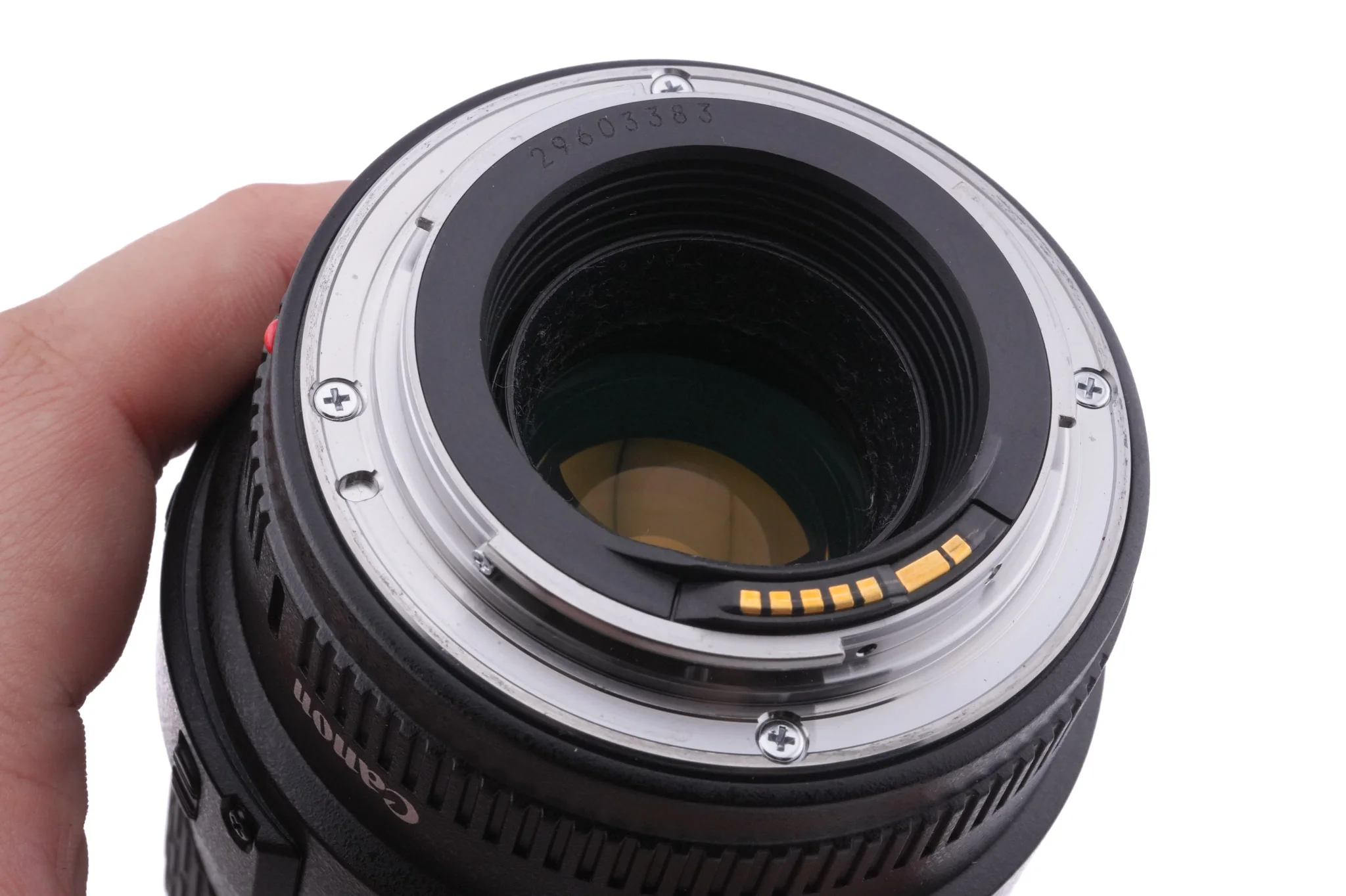 Canon 100mm f2.8 Macro USM - Image 4