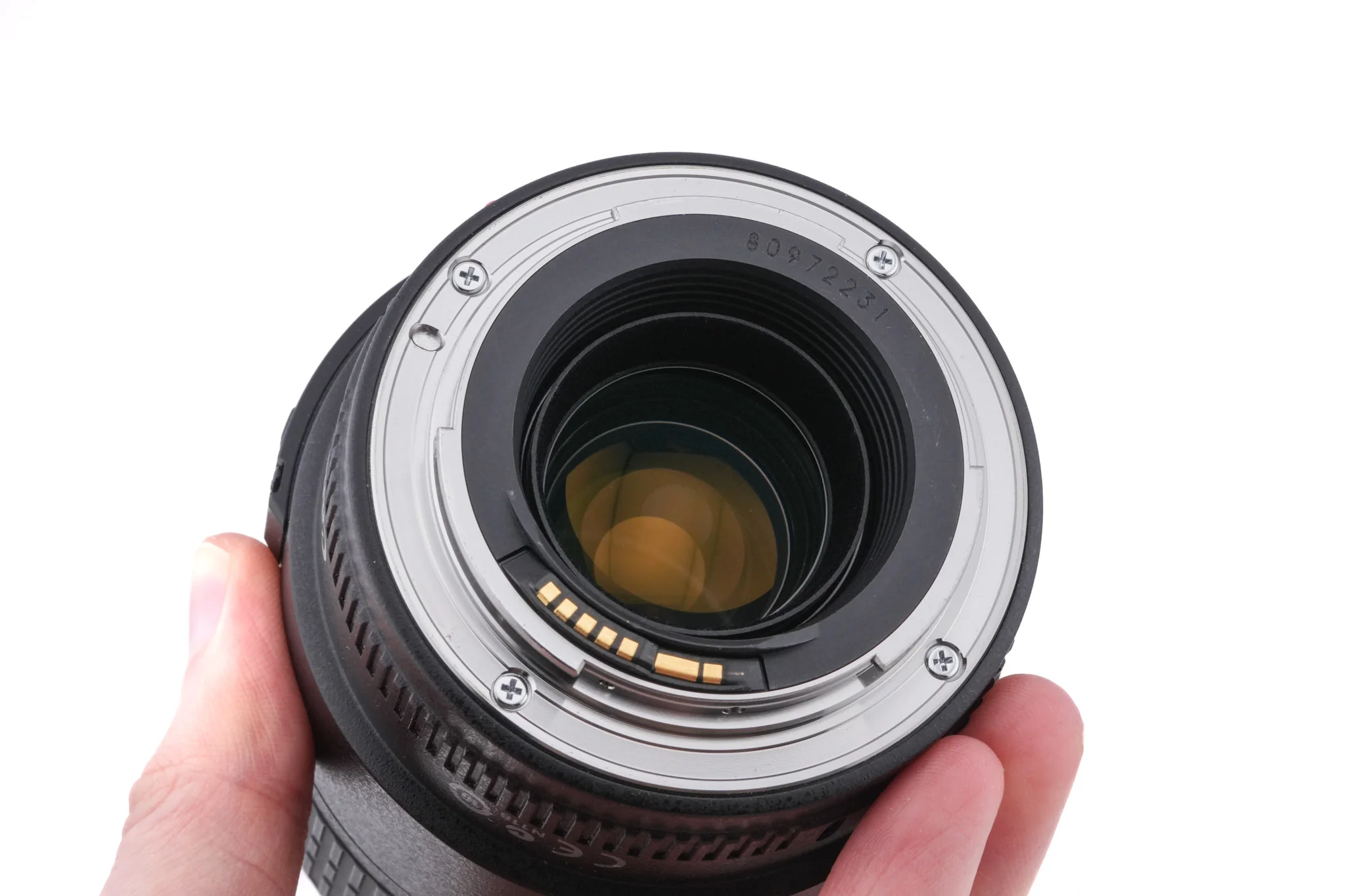 Canon 100mm f2.8 Macro USM - Image 4