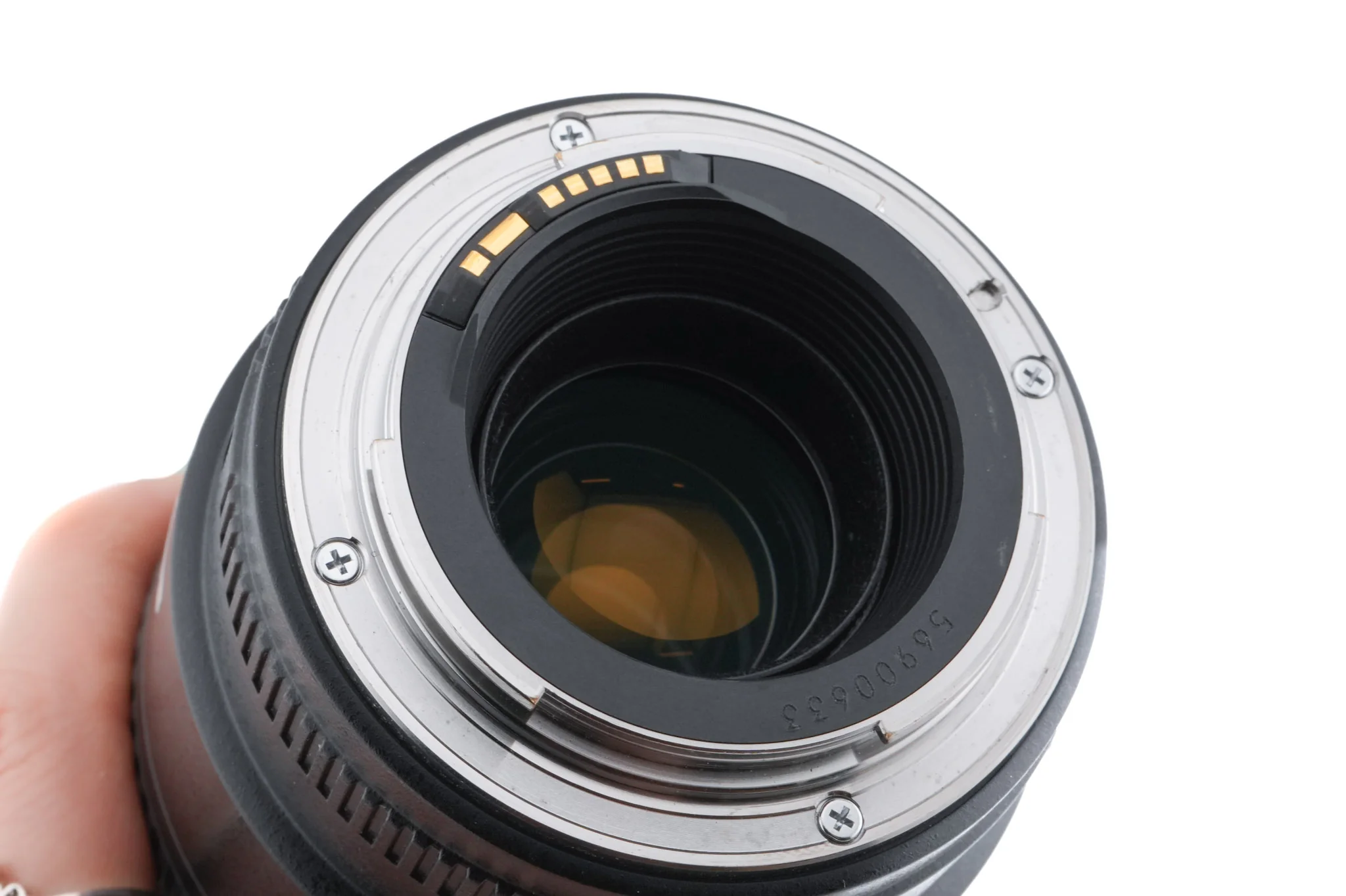Canon 100mm f2.8 Macro USM - Image 6