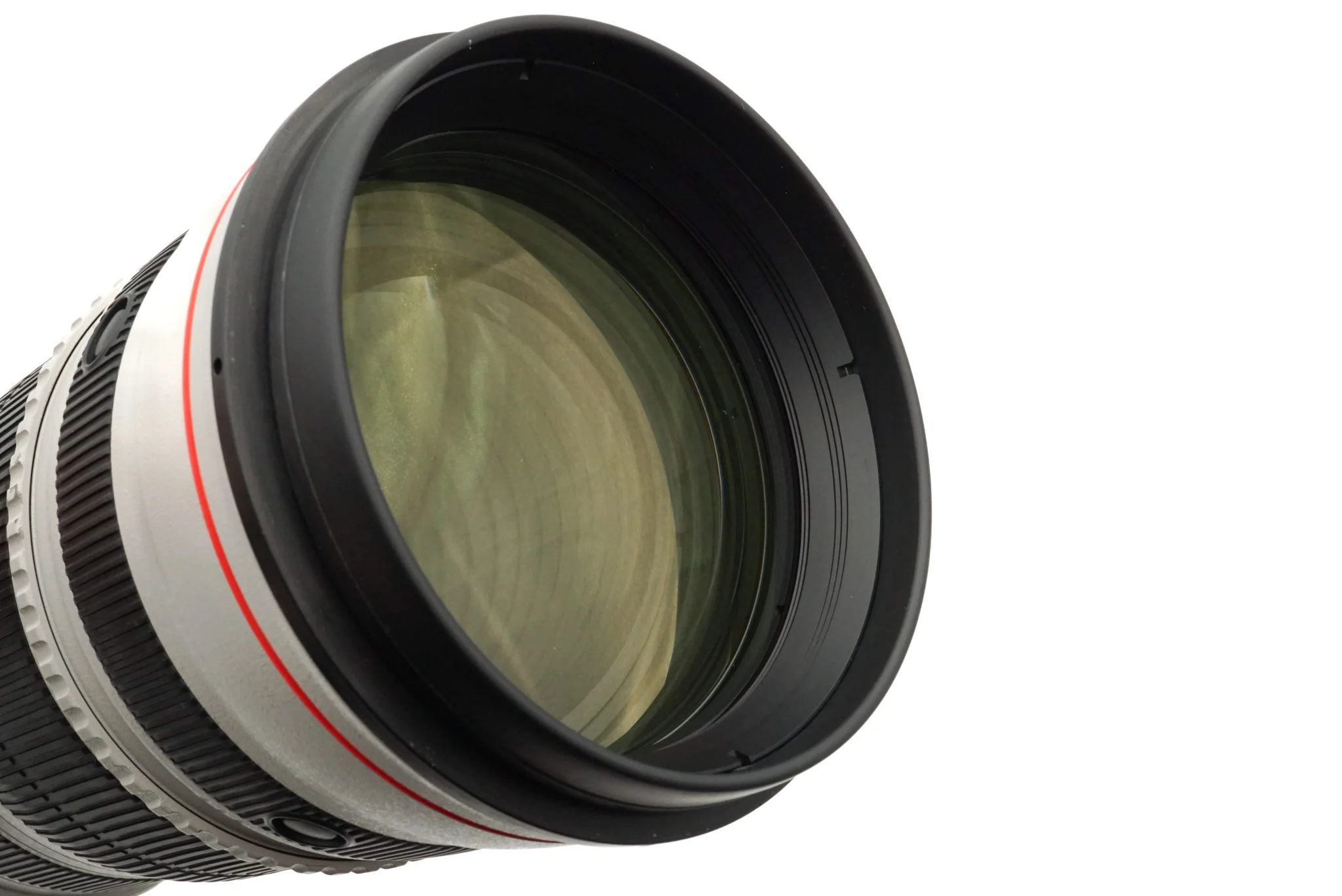 Canon 200-400mm f4 L IS USM 1.4X - Image 5