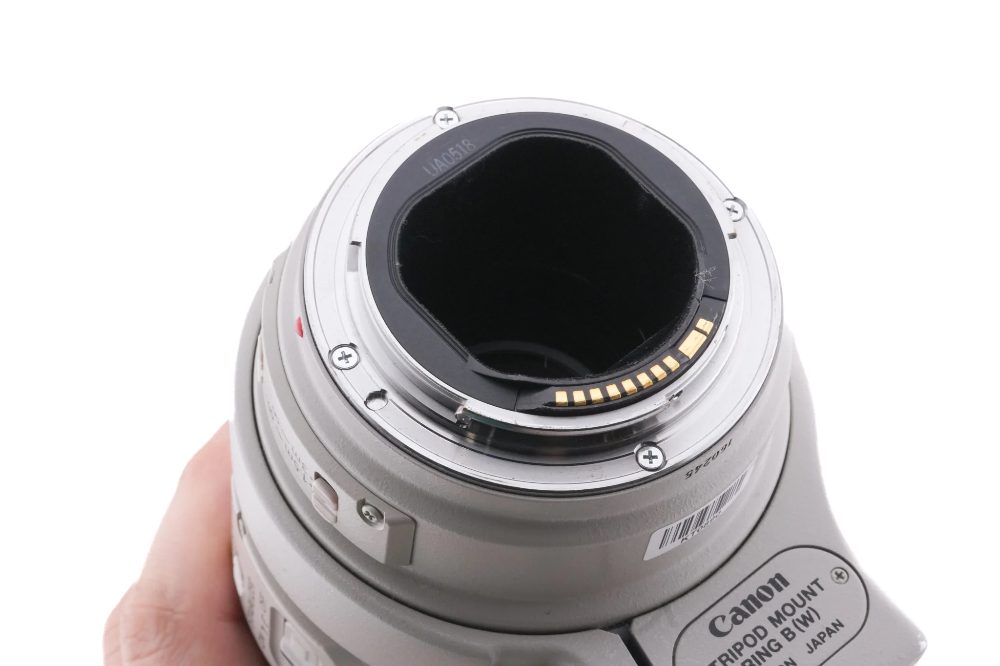 Canon 300mm f4 L IS USM - Image 6