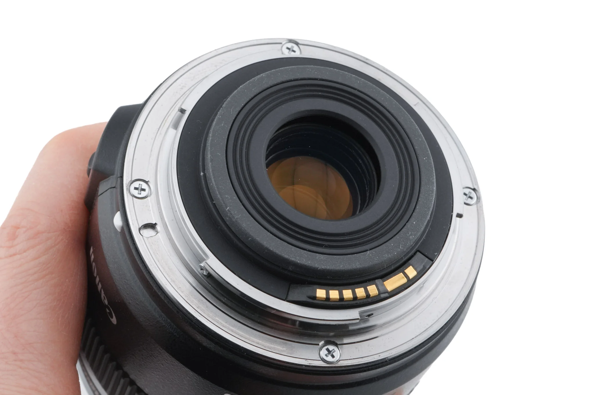 Canon 60mm f2.8 Macro USM - Image 4