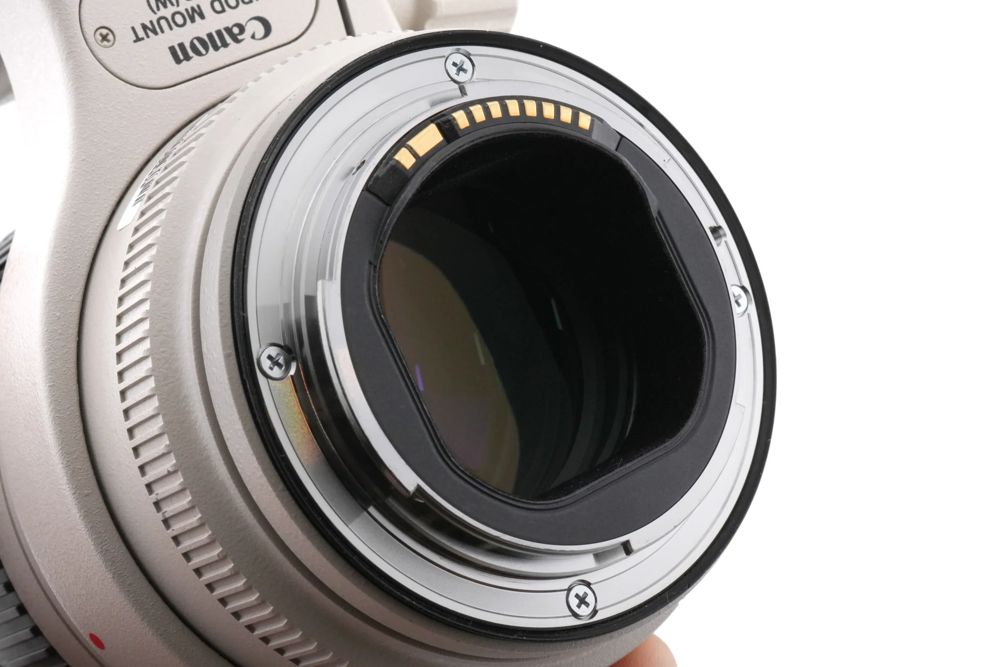Canon 70-200mm f2.8 L IS II USM - Image 6