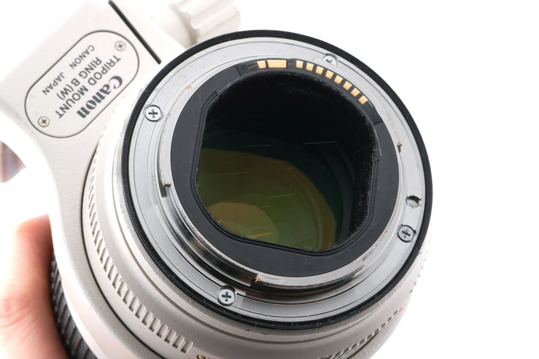 Canon 70-200mm f2.8 L IS II USM - Image 6