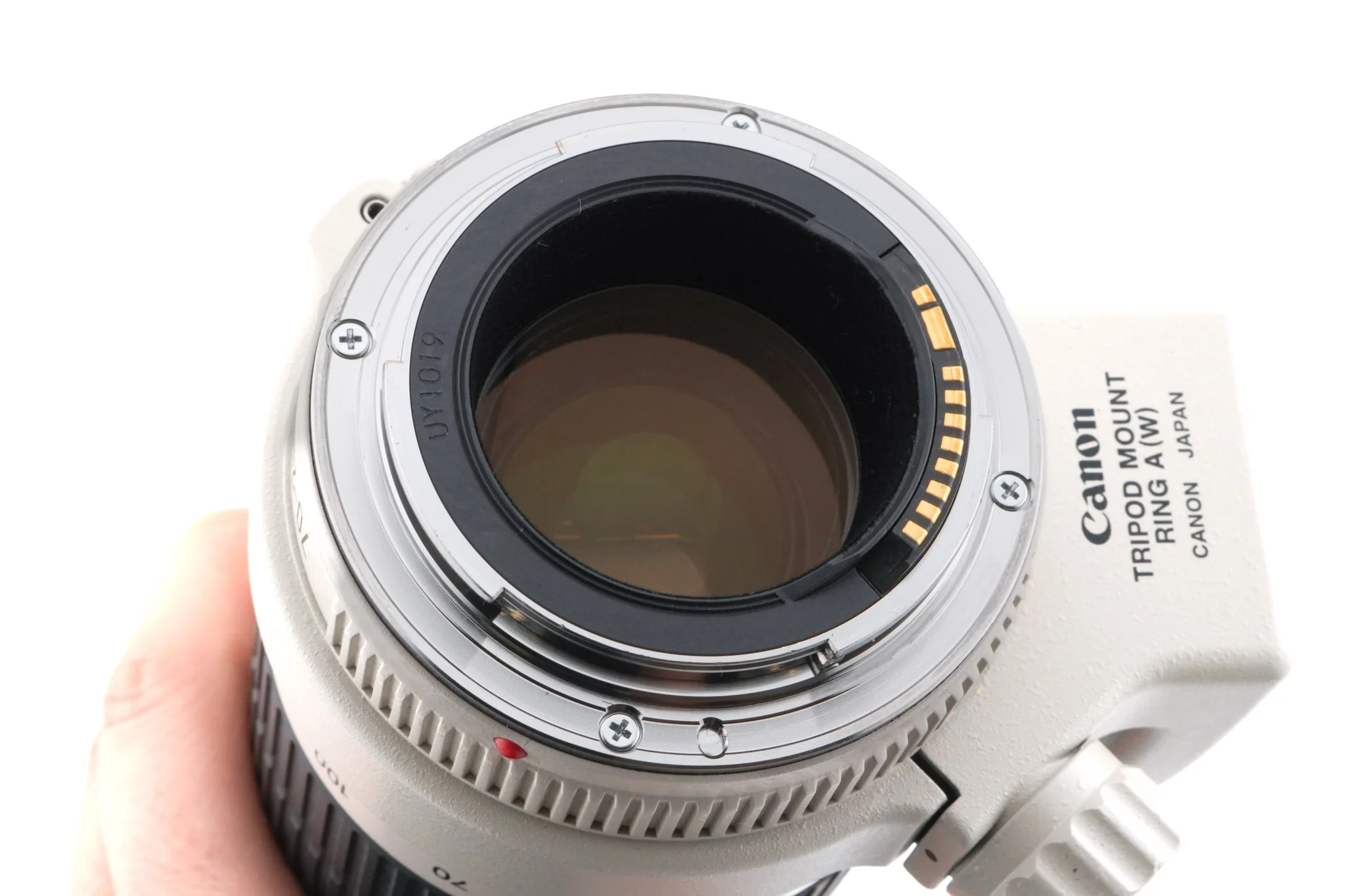 Canon 70-200mm f4 L USM - Image 6