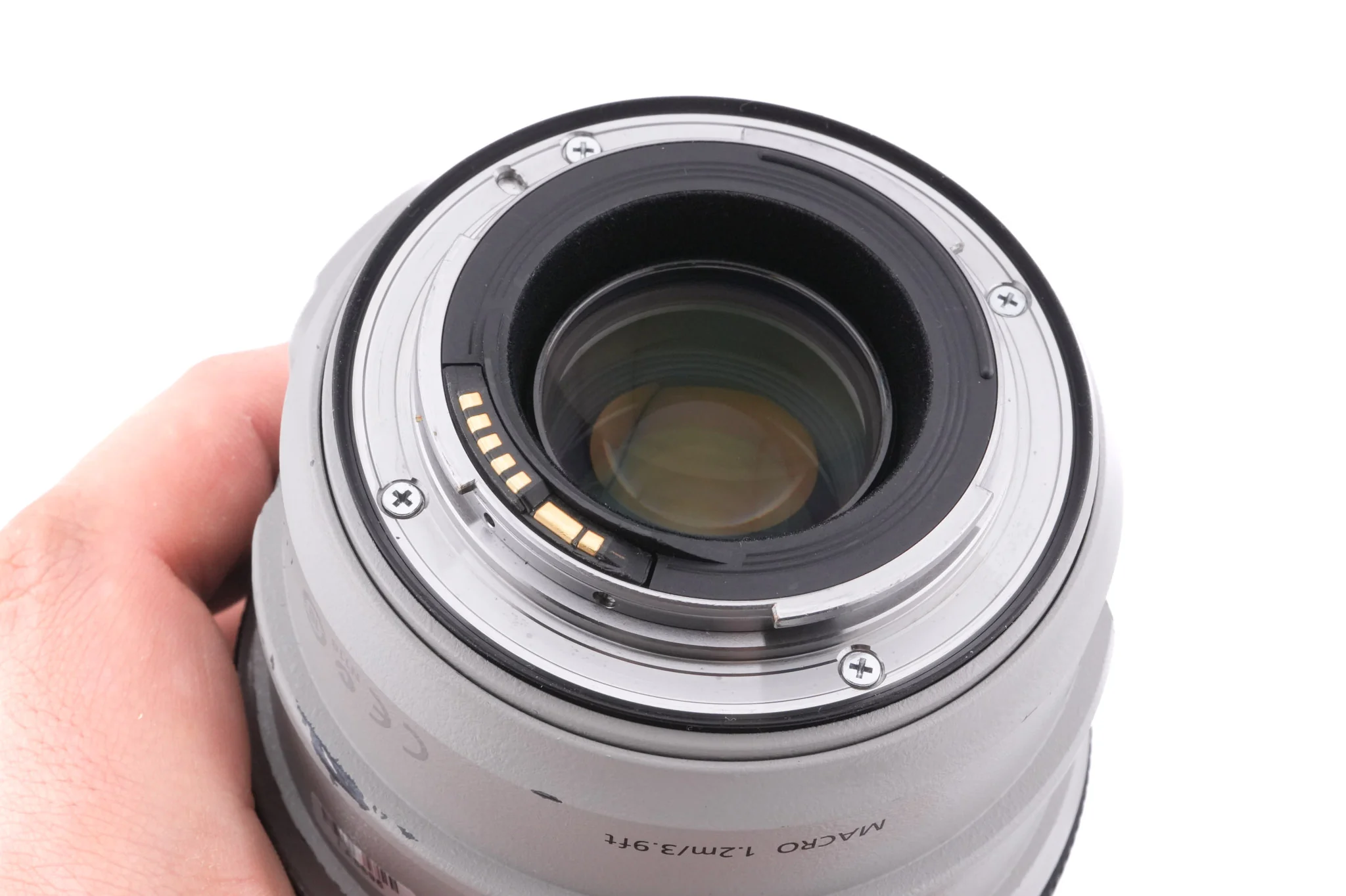 Canon 70-300mm f4-5.6 L IS USM - Image 6