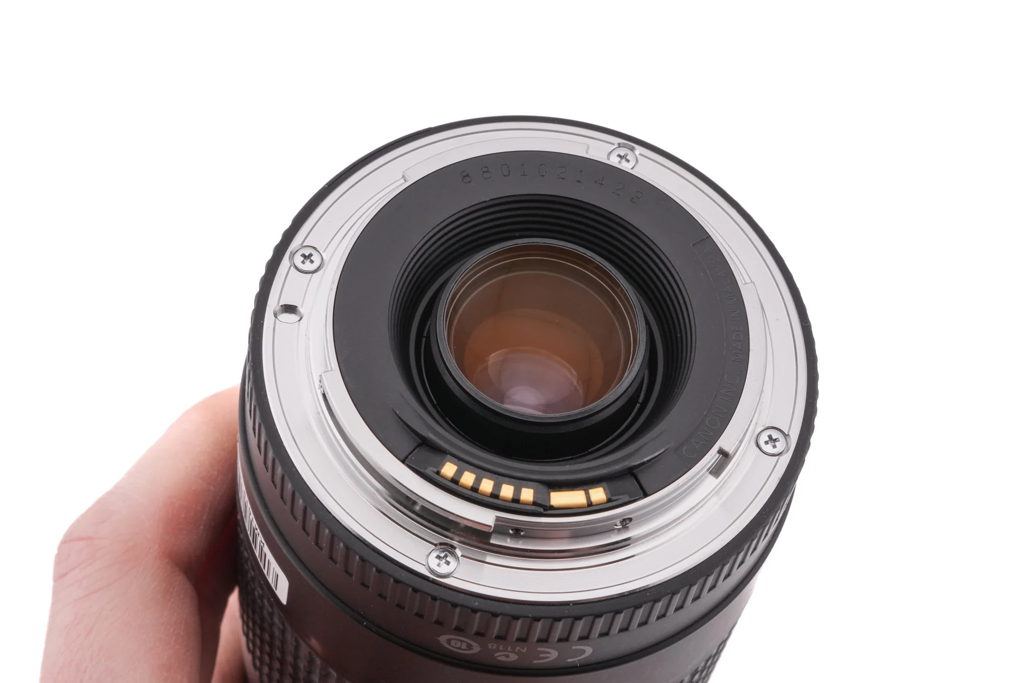 Canon 75-300mm f4-5.6 III - Image 6