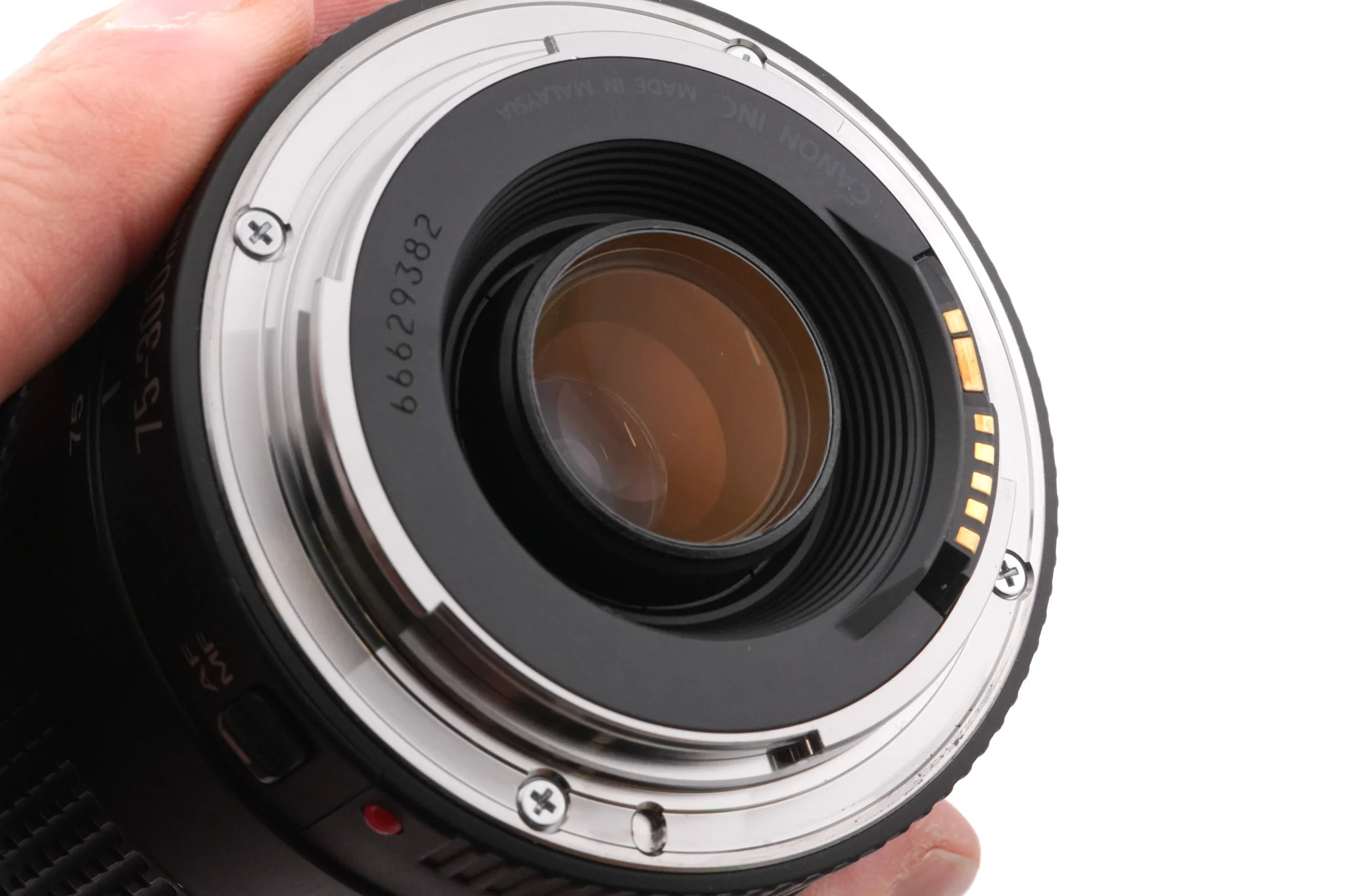 Canon 75-300mm f4-5.6 III - Image 4