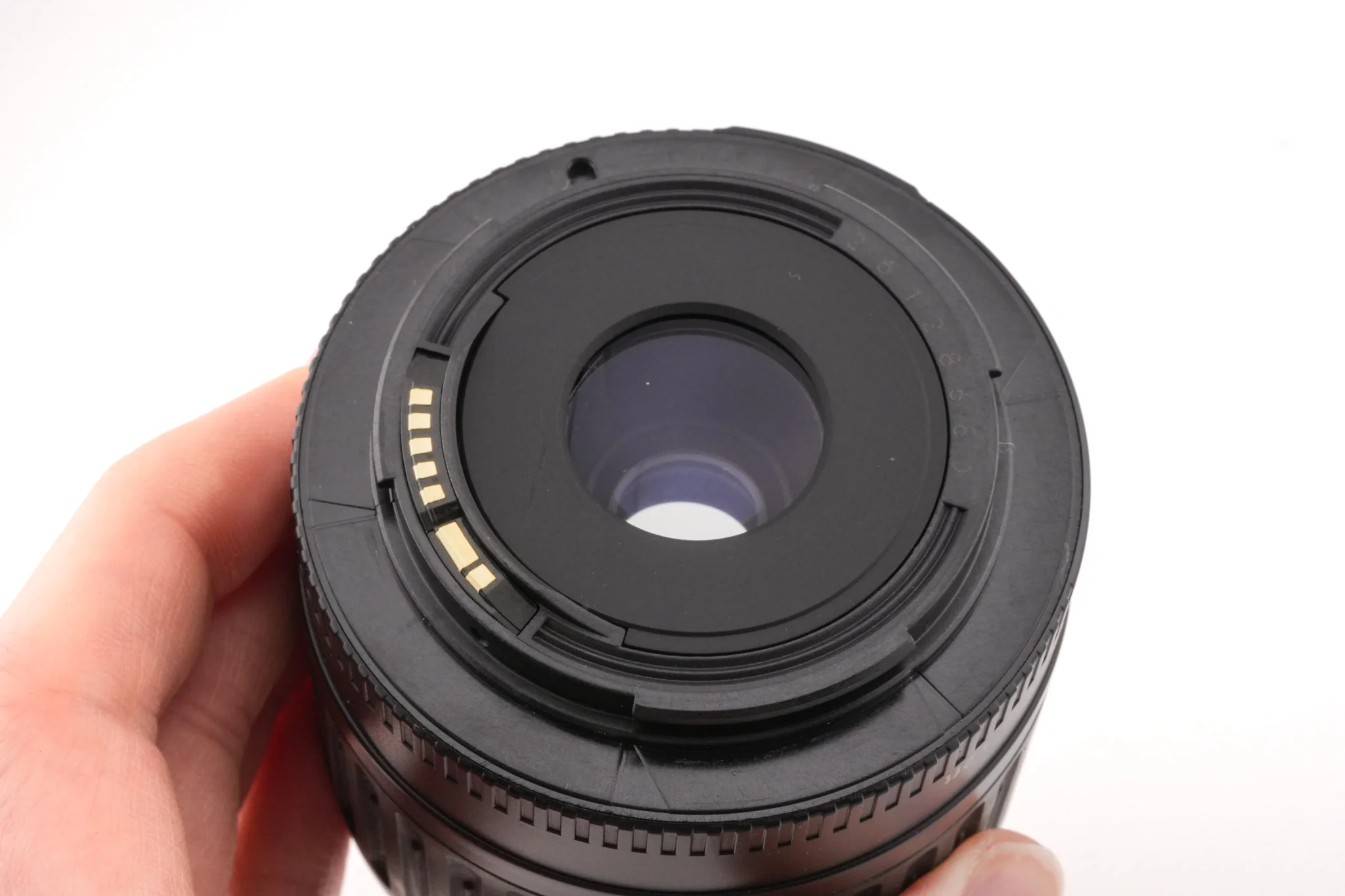 Canon EOS 1000 + 35-80mm f4-5.6 - Image 6