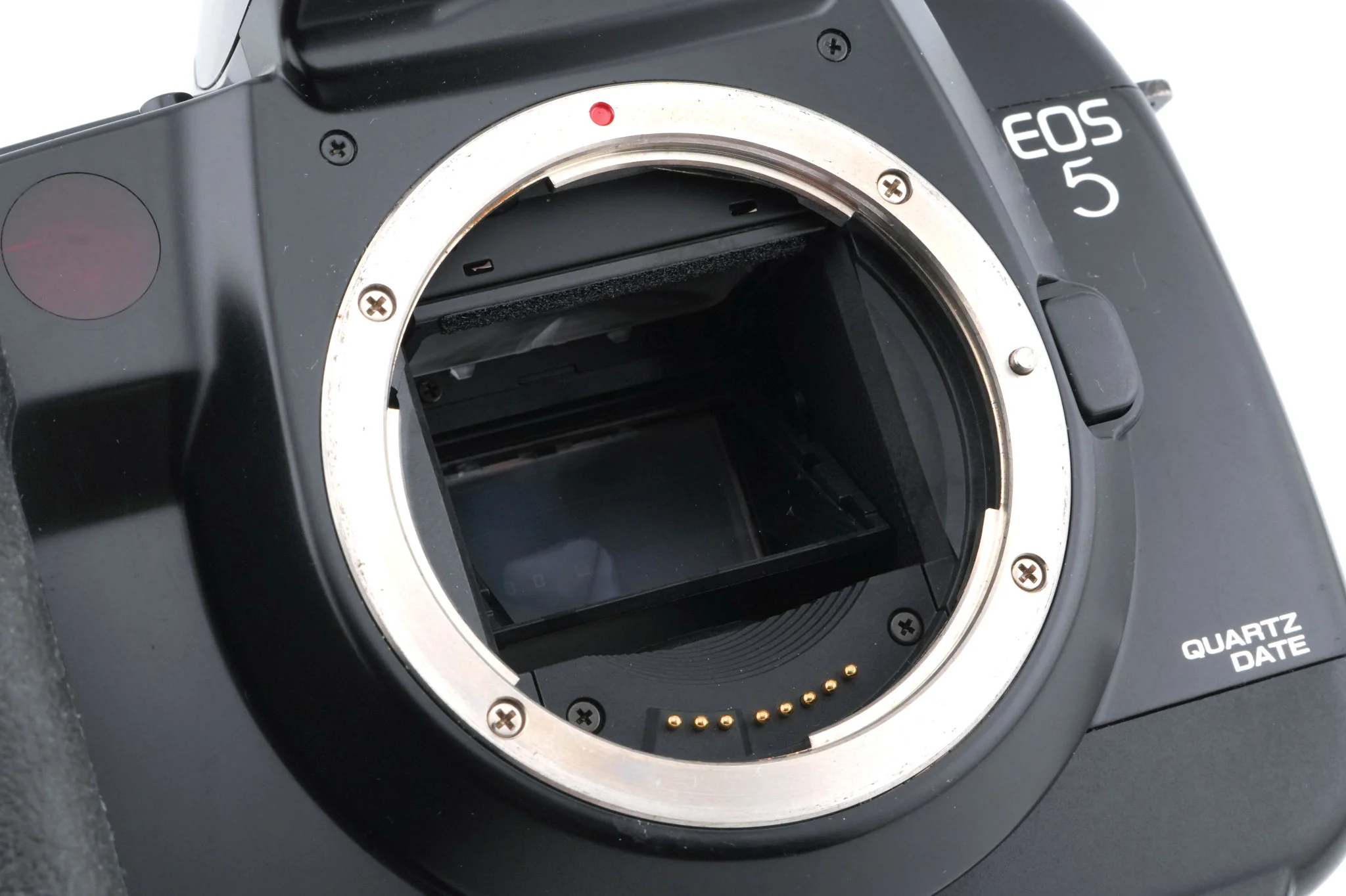 Canon EOS 5 - Image 5
