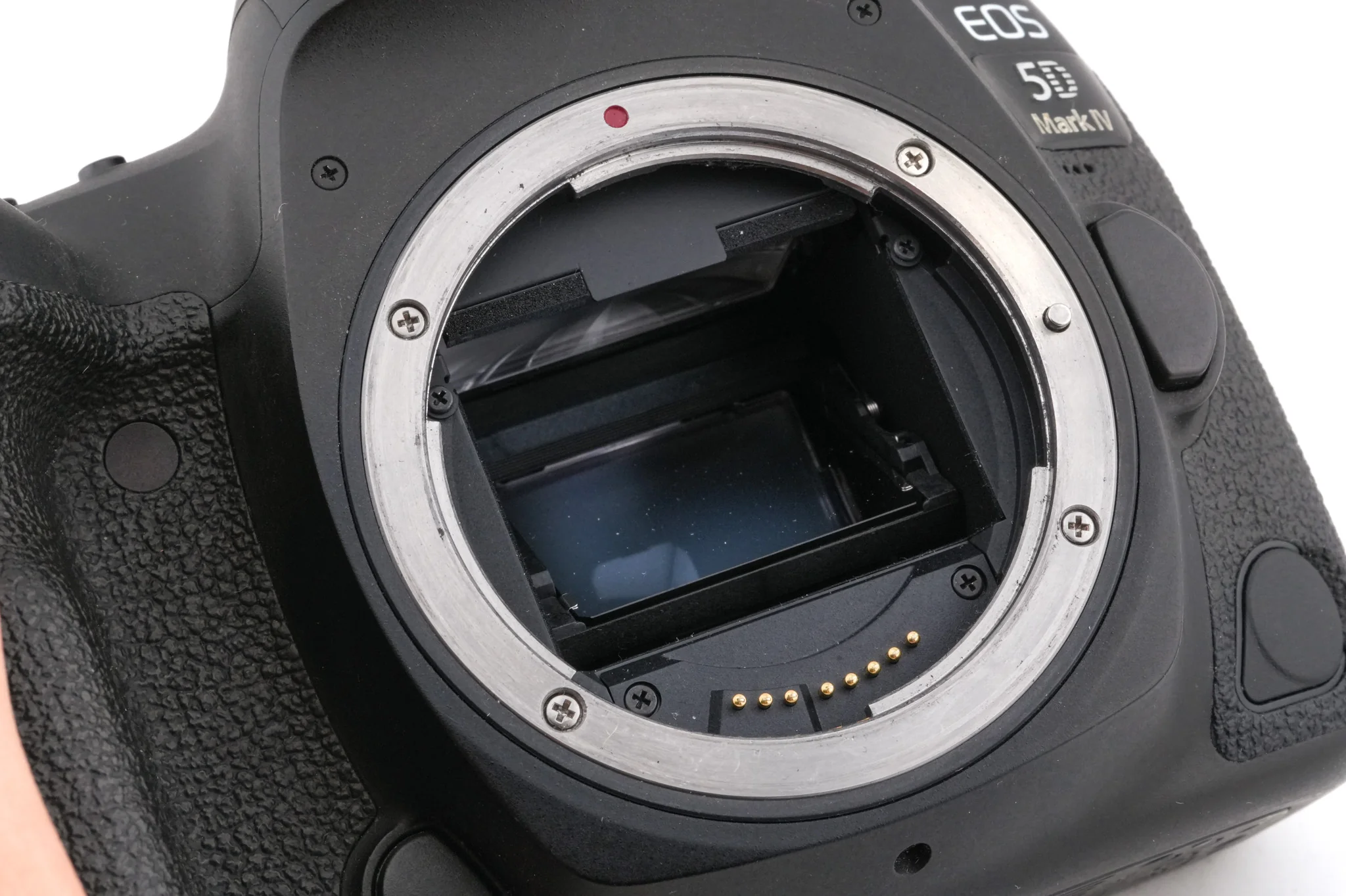 Canon EOS 5D Mark IV - Image 7