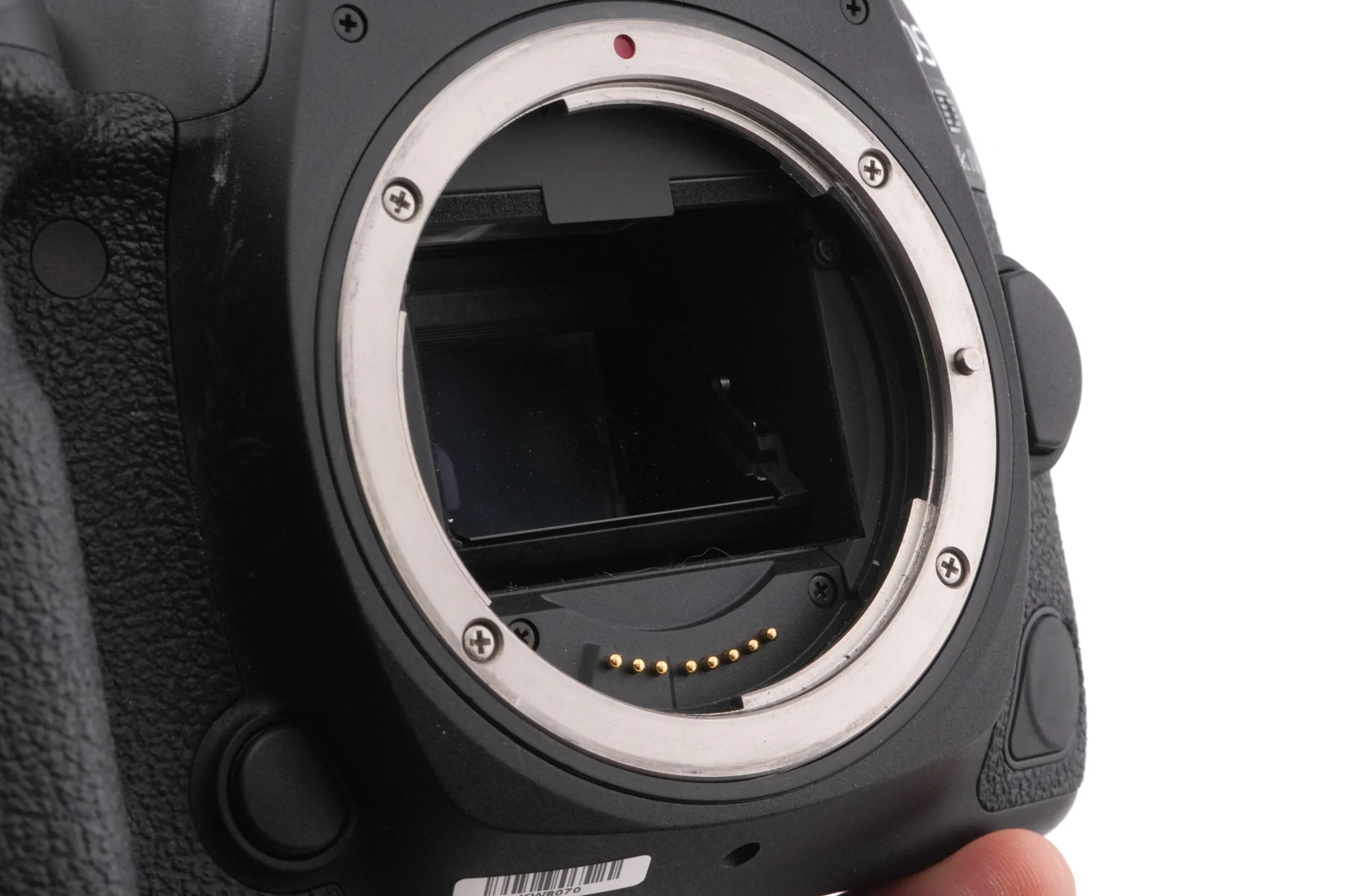 Canon EOS 5D Mark IV - Image 5