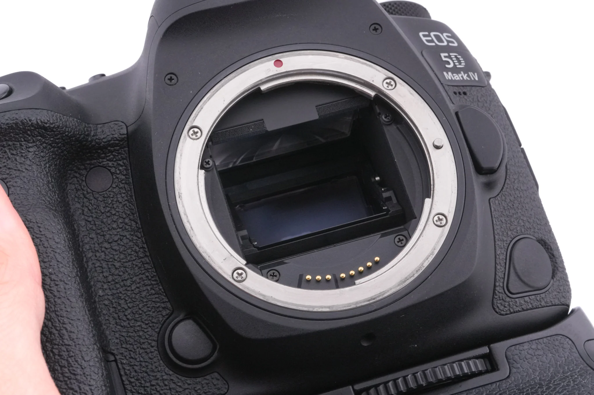 Canon EOS 5D Mark IV + BG-E20 Battery Grip - Image 6