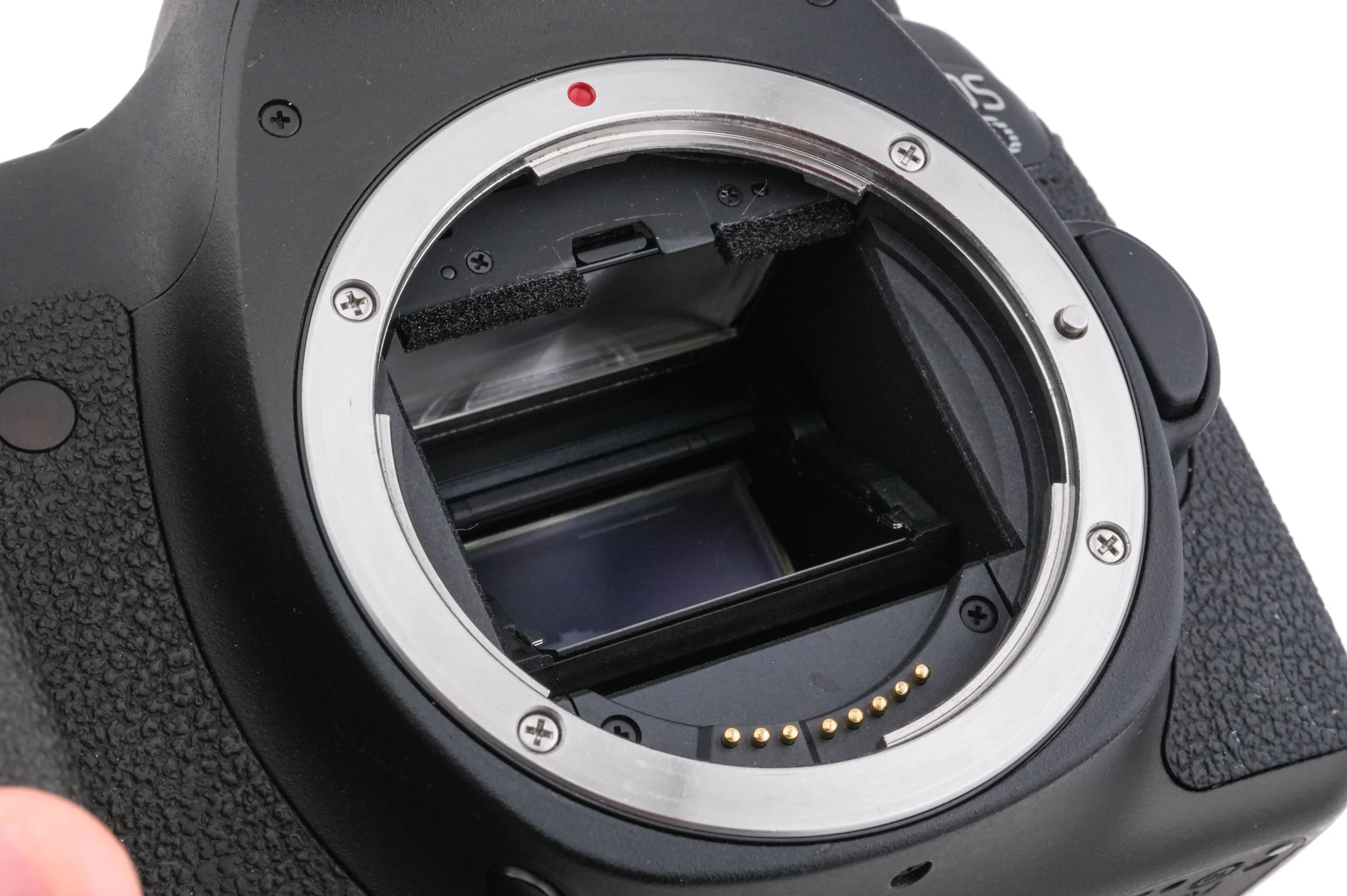 Canon EOS 6D (WG) - Image 7