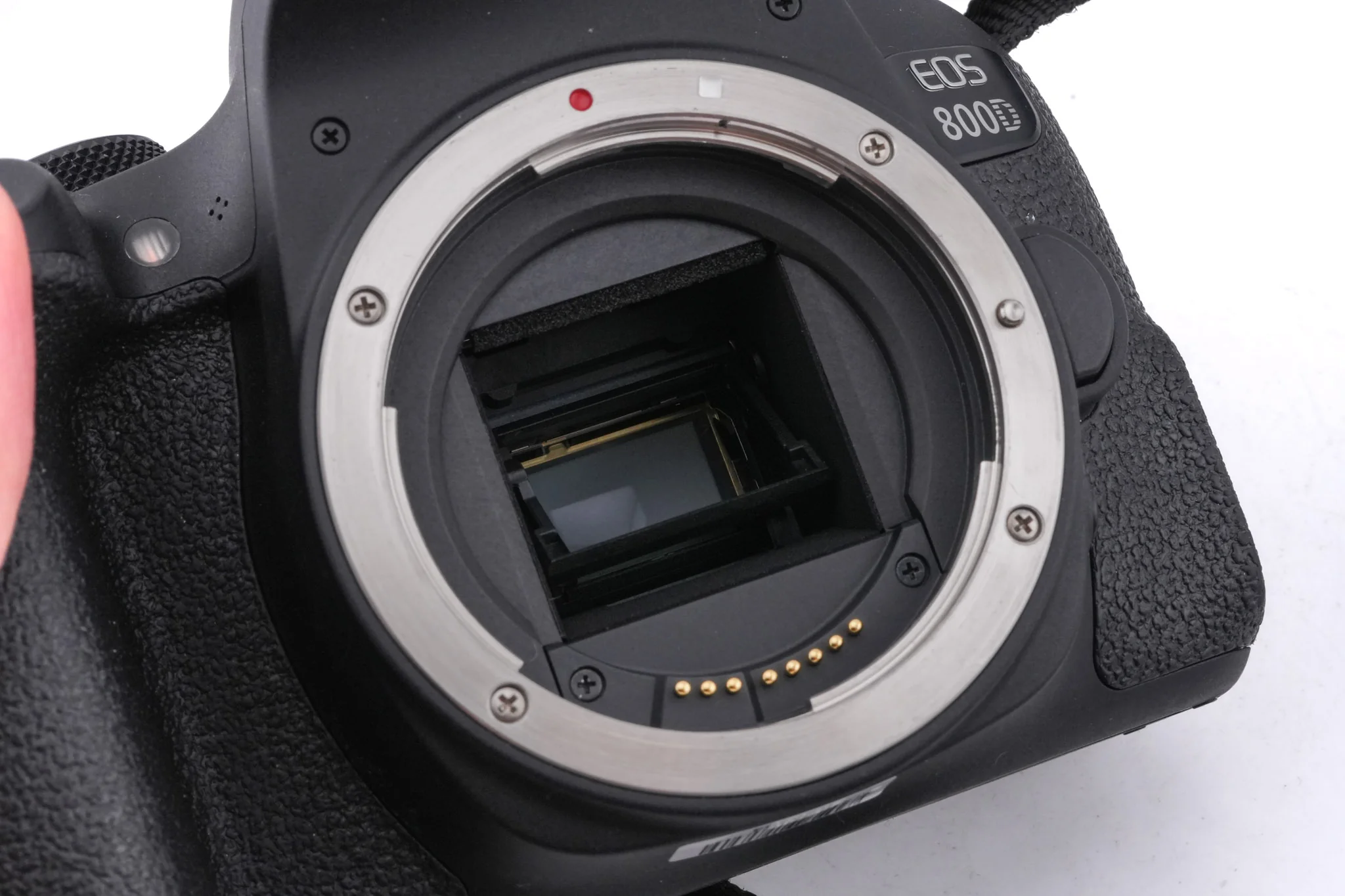 Canon EOS 800D - Image 9