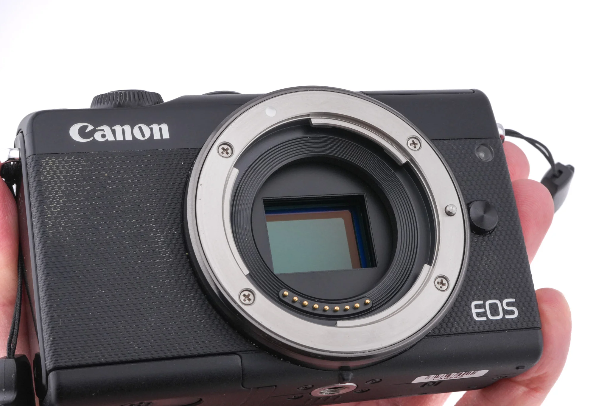 Canon EOS M100 - Image 10
