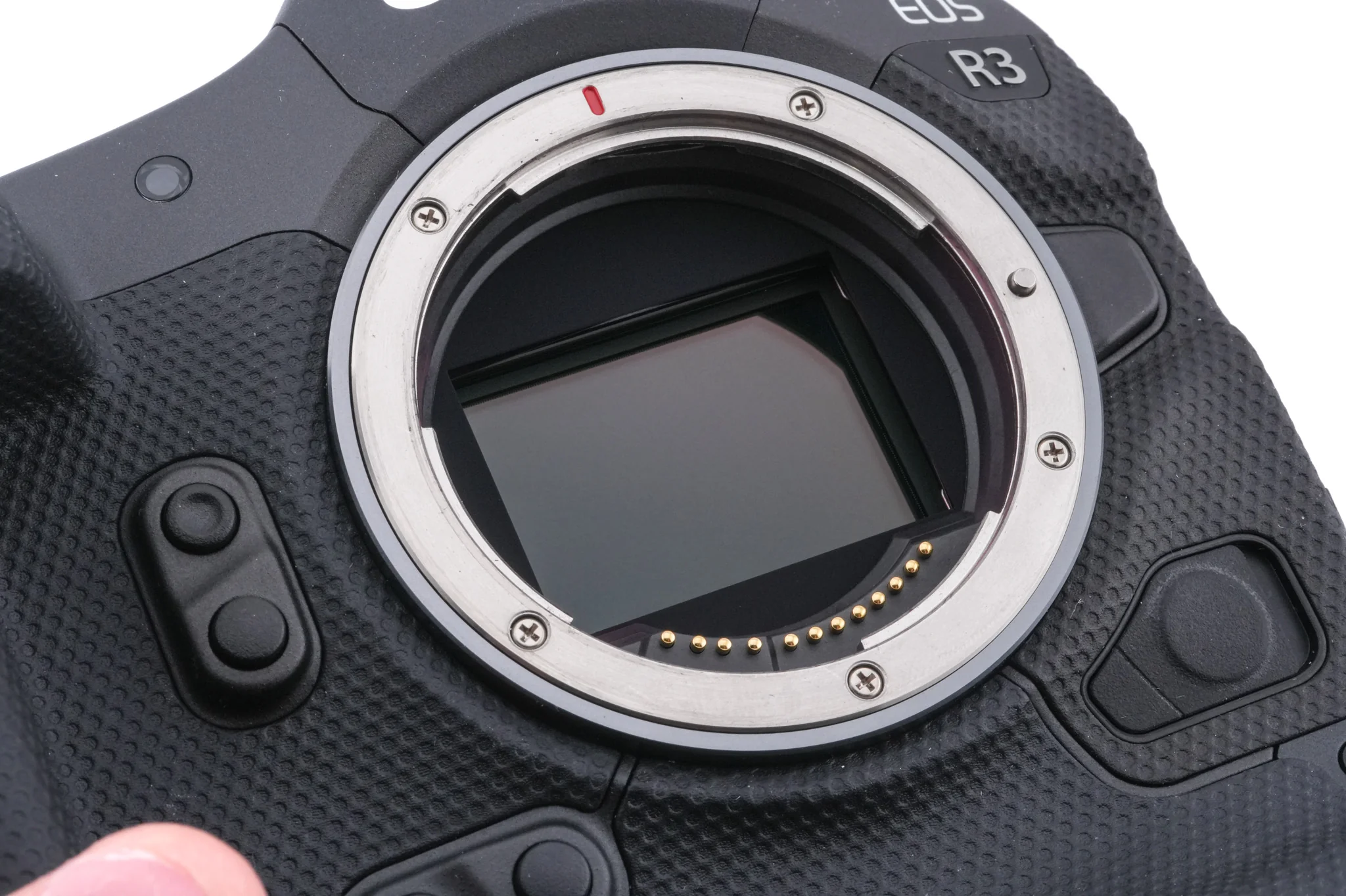 Canon EOS R3 - Image 7