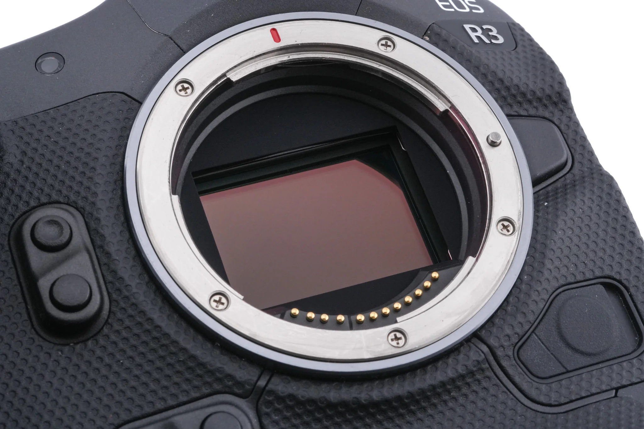Canon EOS R3 - Image 7