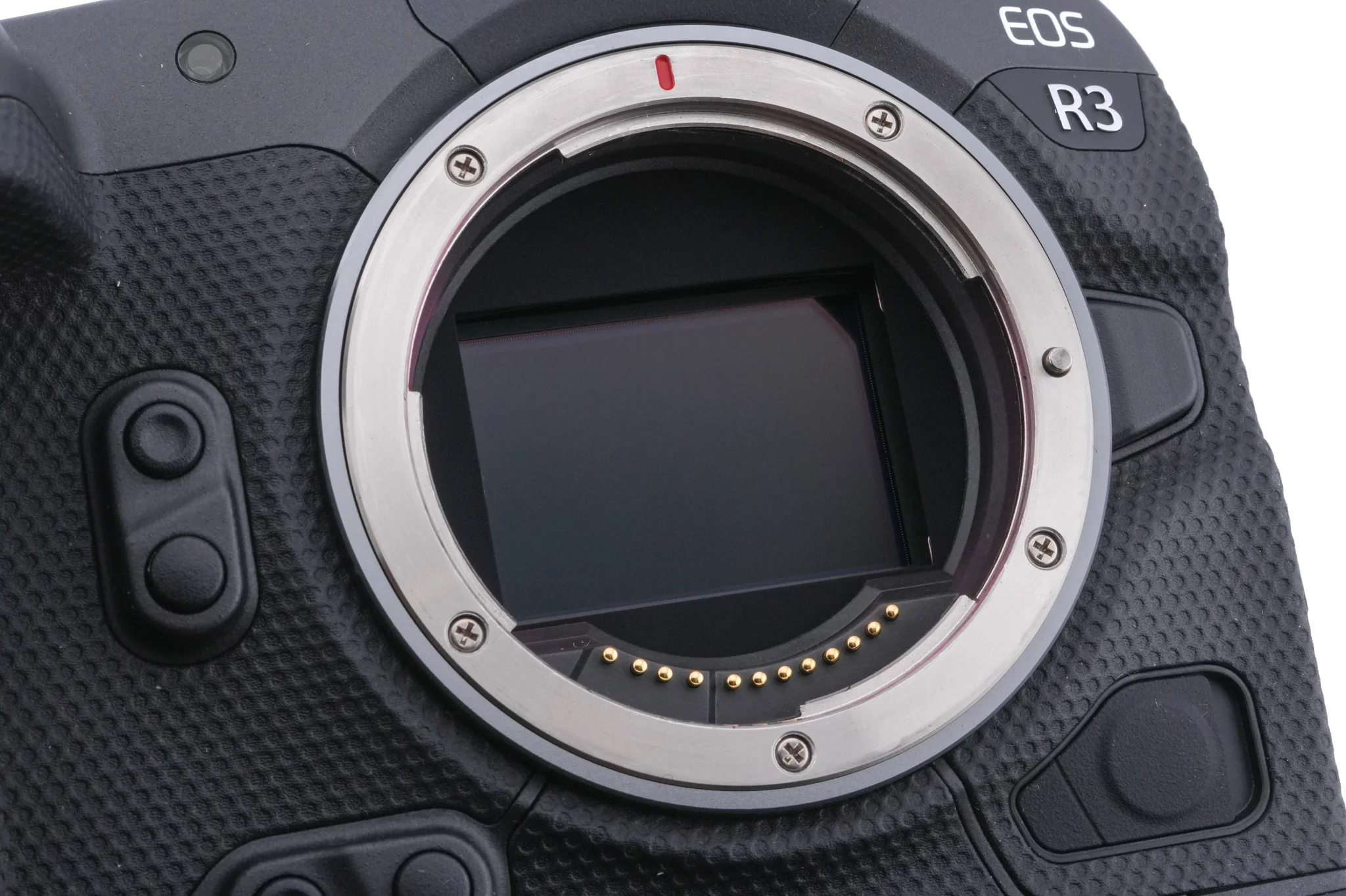 Canon EOS R3 - Image 7