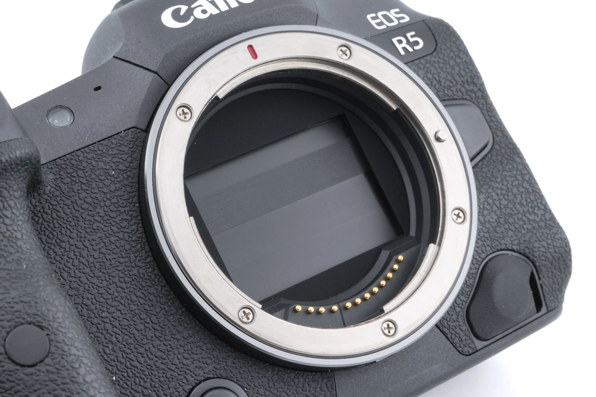 Canon EOS R5 - Image 7