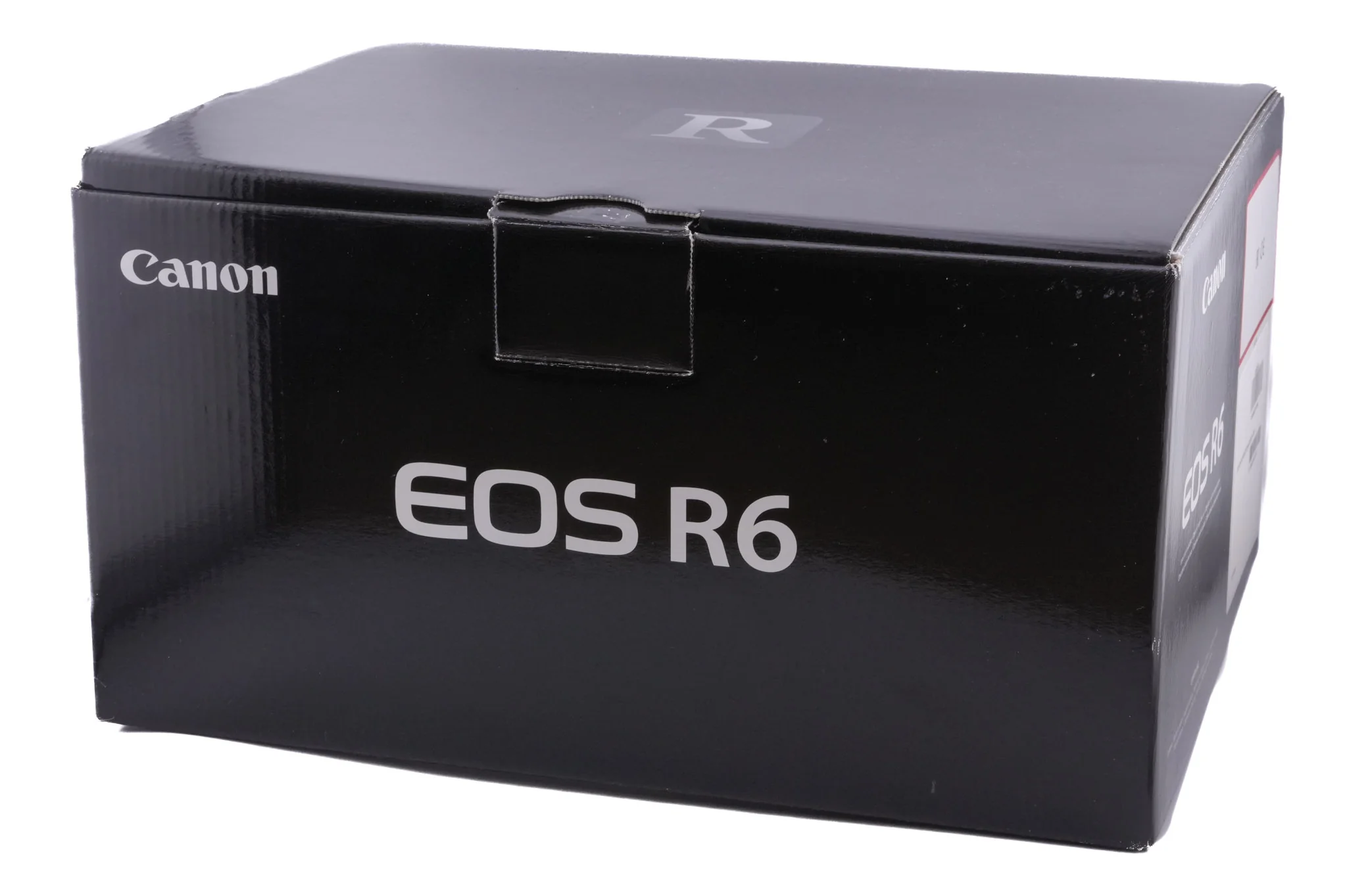 Canon EOS R6 - Image 12