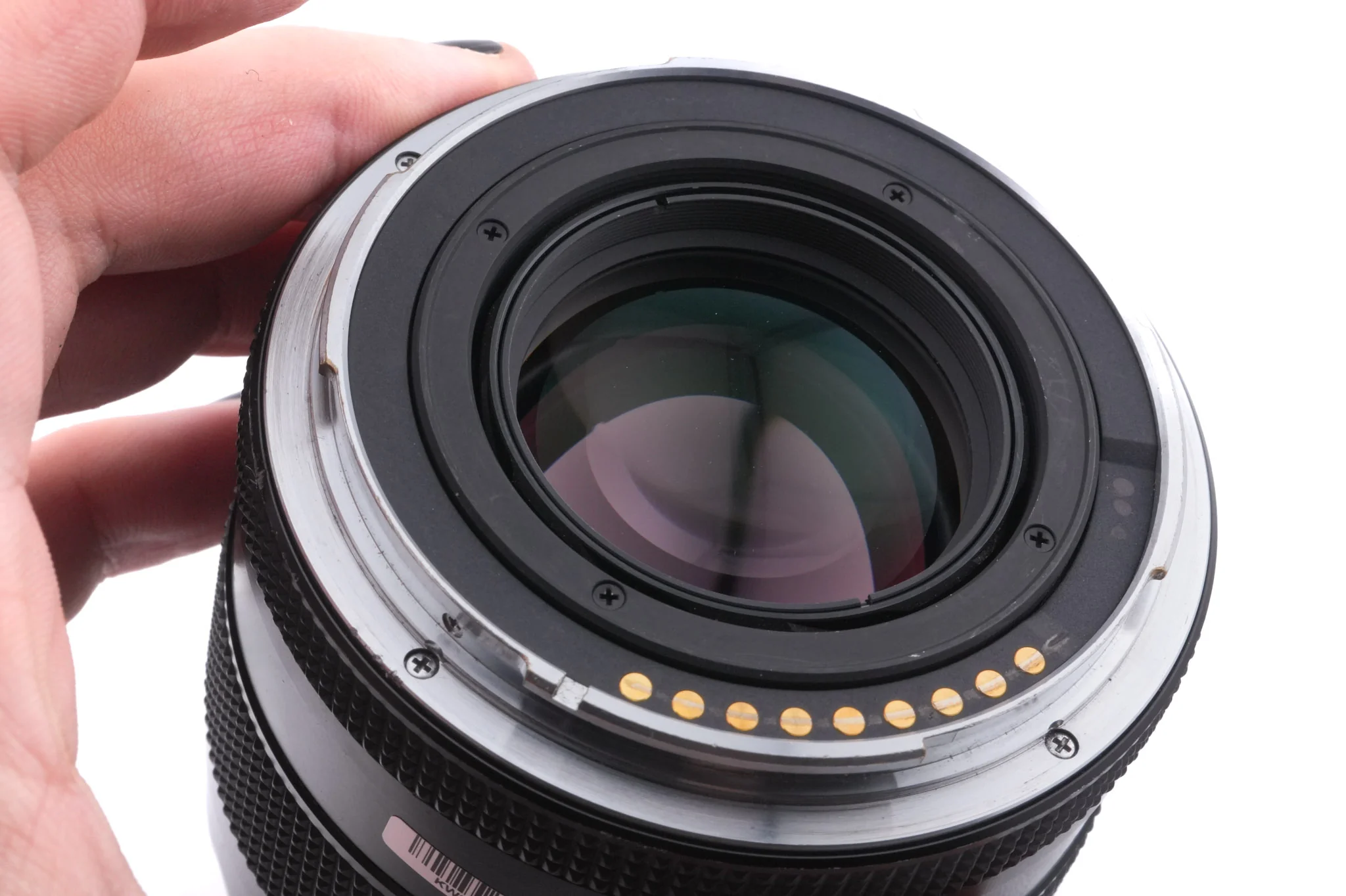 Contax 645 + P25 Digital Back + 80mm f2 Planar T* + MF-1 AE Prism Finder - Image 8