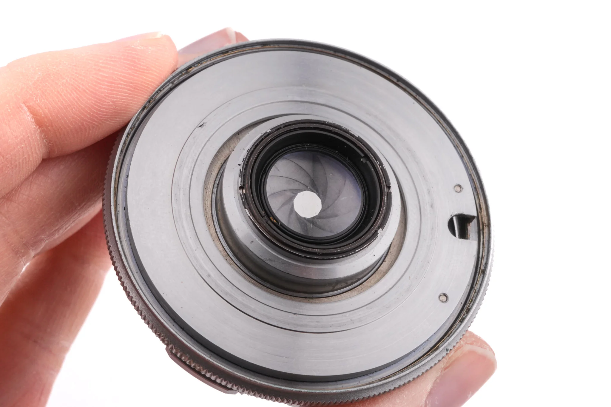 Diax IIa + 45mm f2.8 Xenar - Image 7