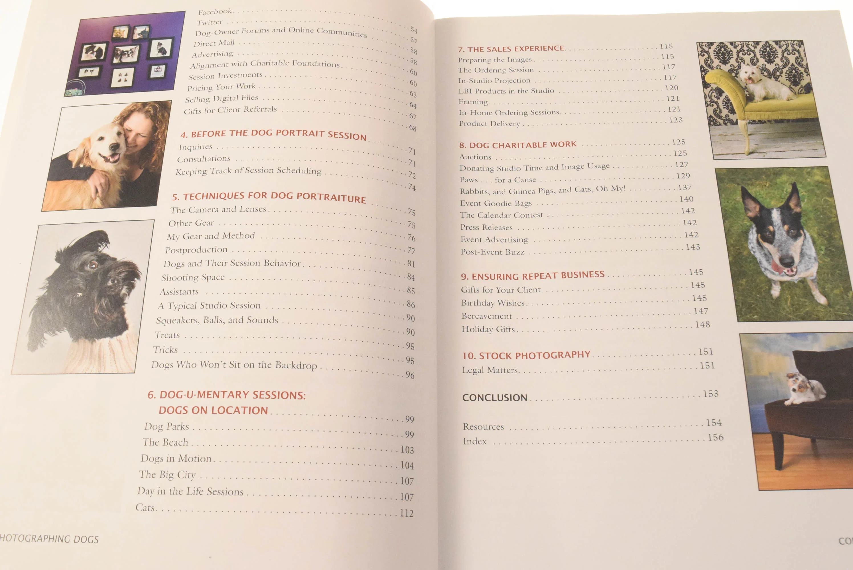 Generic Book - Image 2