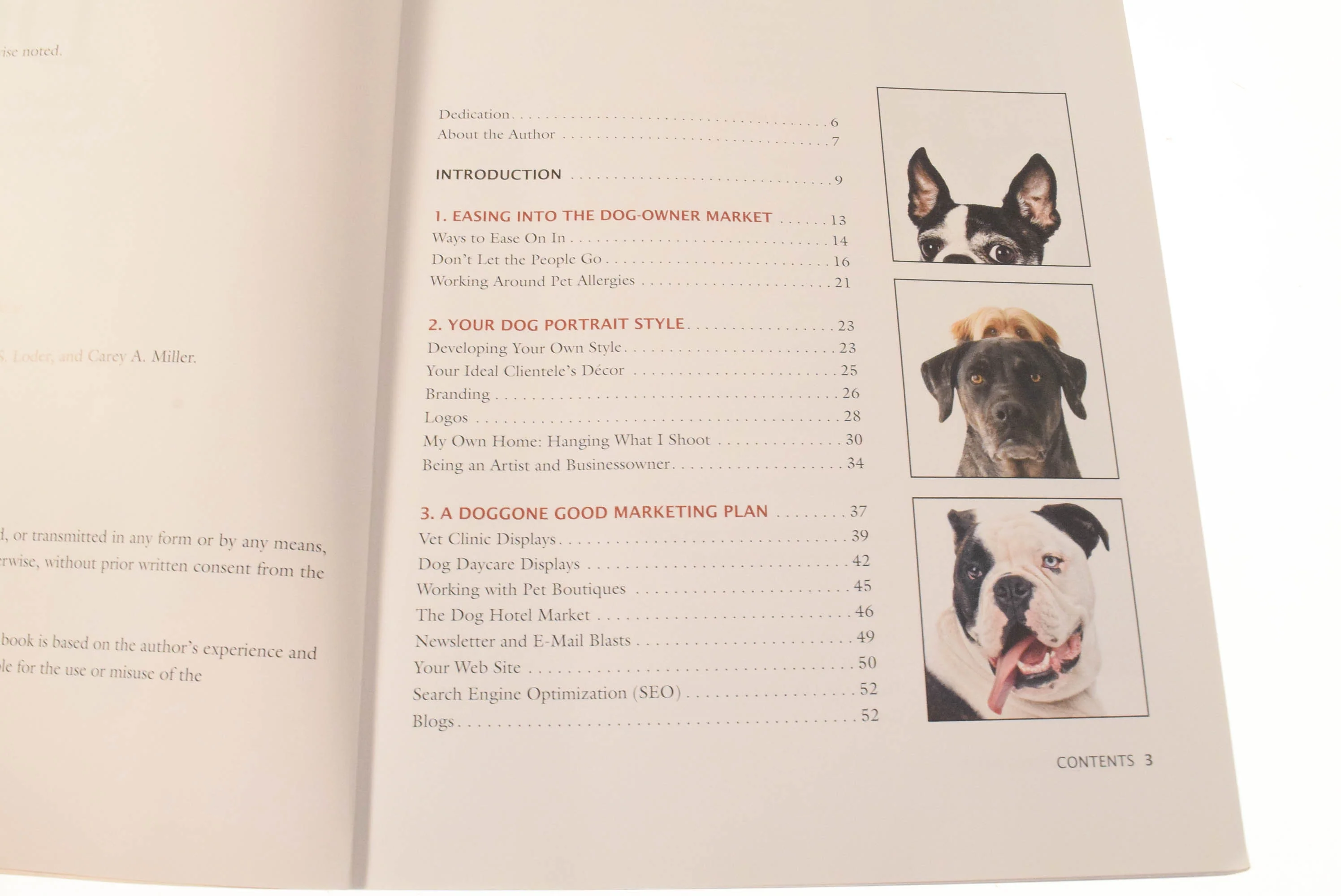 Generic Book - Image 3
