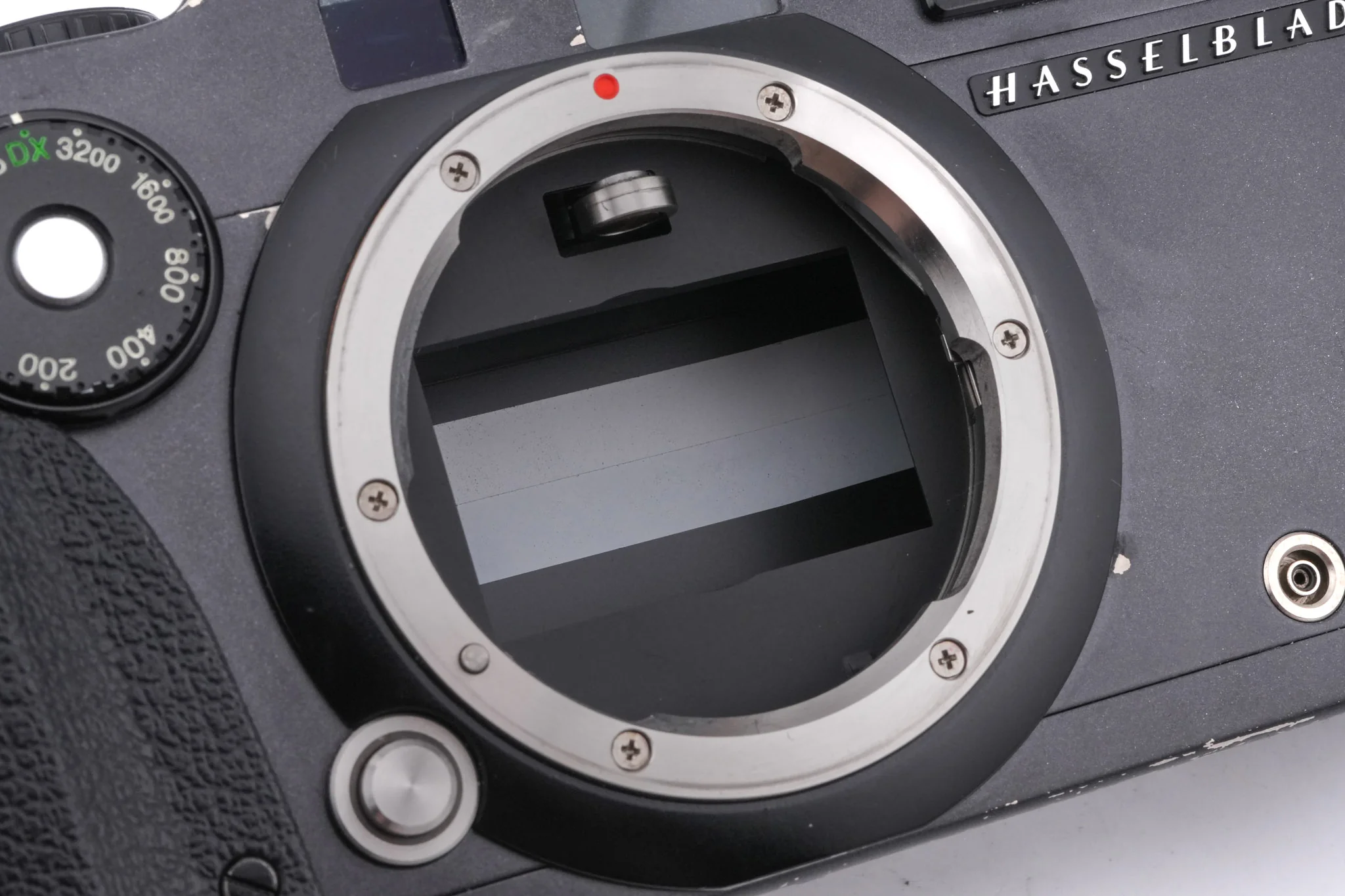Hasselblad XPan (3014010) + 45mm f4 (3024015) - Image 11