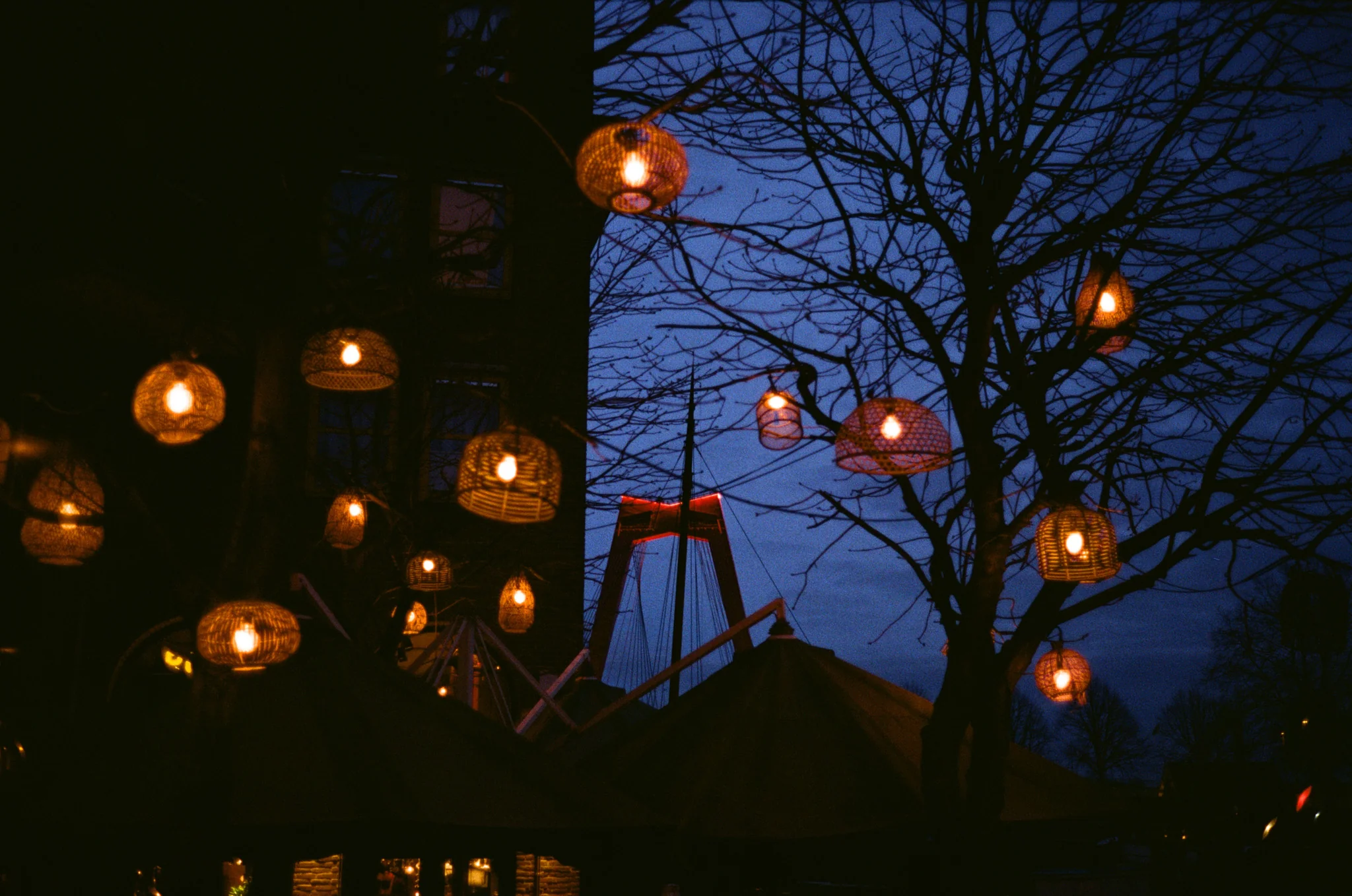 Kodak Pro Image 100 (35mm) 36 Exp. EXPIRED 12/2025 - Image 7