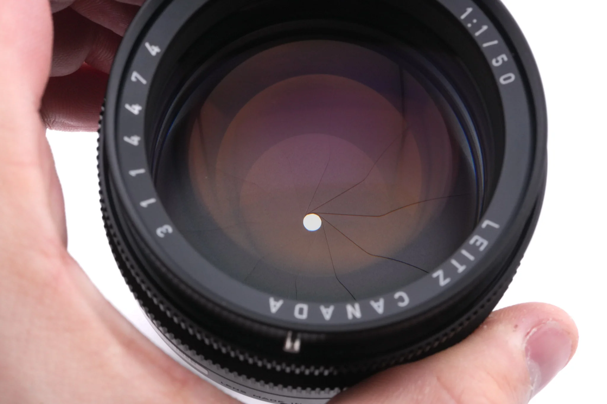 Leica 50mm f1 Noctilux-M (Type II) (11821) + Lens Hood (50mm f1 II) (12539) - Image 7