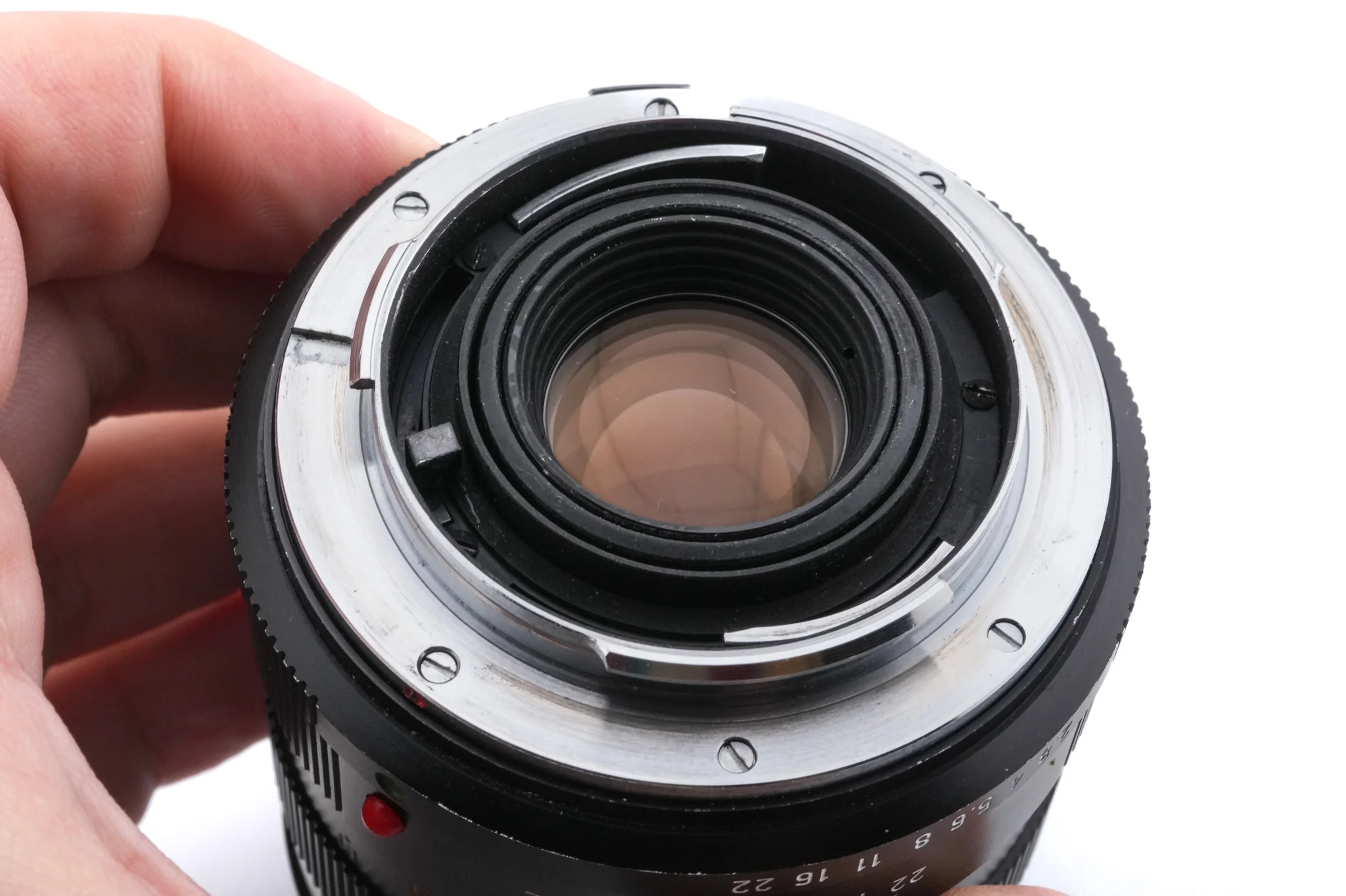 Leica 60mm f2.8 Macro-Elmarit-R (Type I) (2-Cam) (11205) + R Macro Adapter (14198) - Image 6