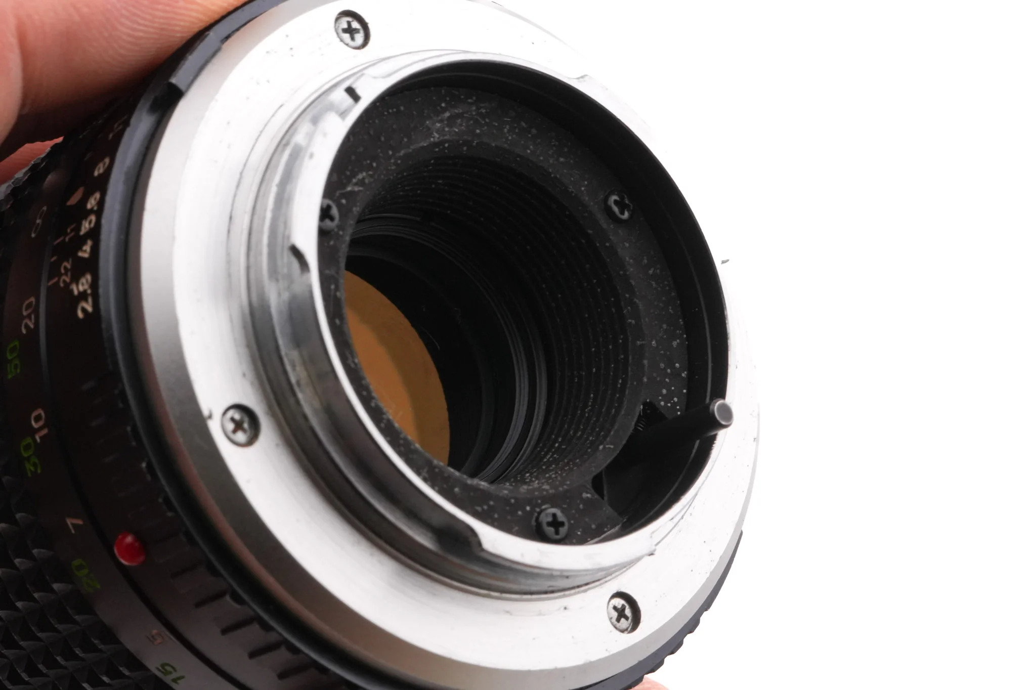 Minolta 135mm f2.8 MC Tele Rokkor-PF - Image 4