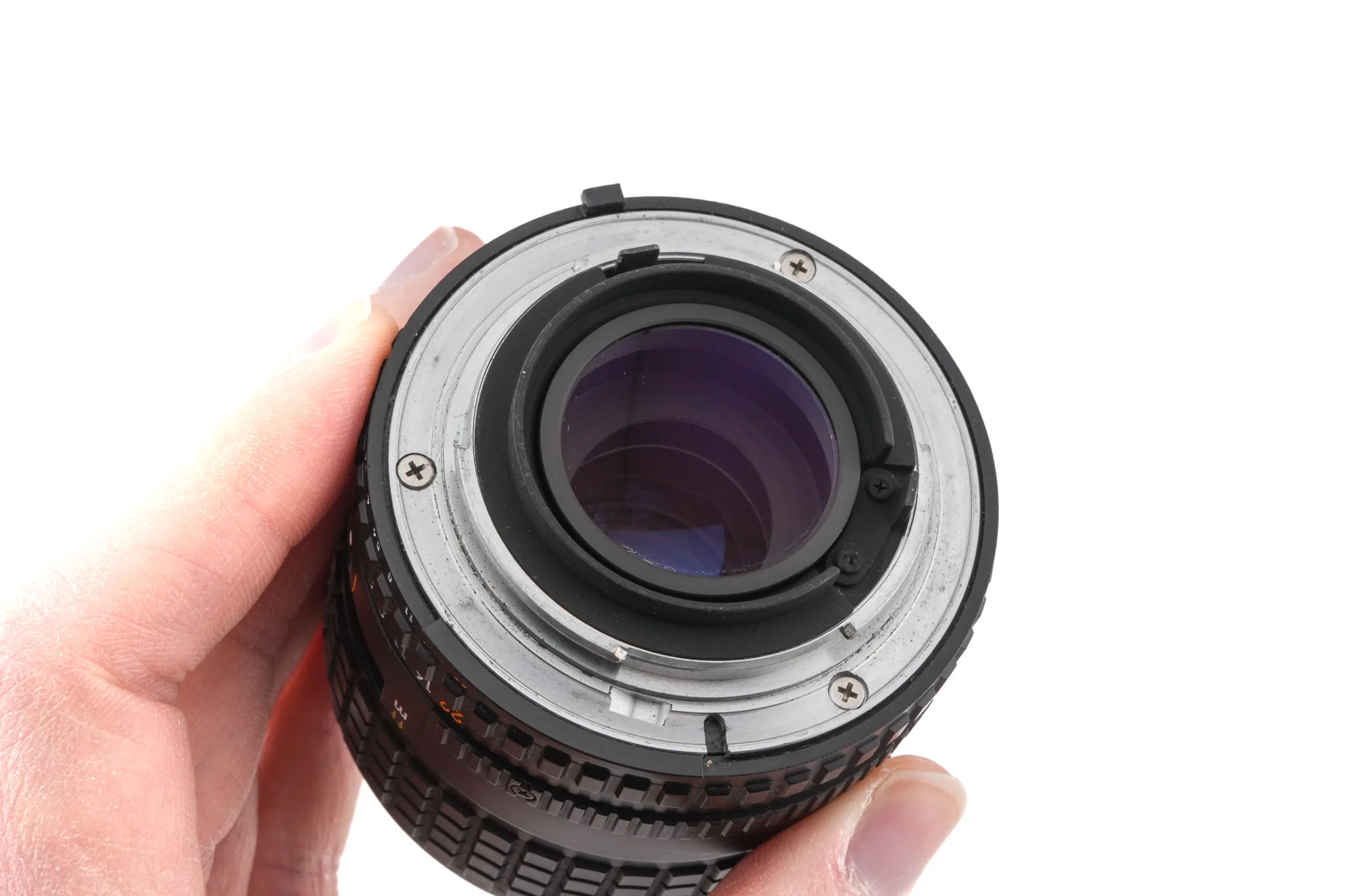 Nikon 100mm f2.8 Series E - Image 4