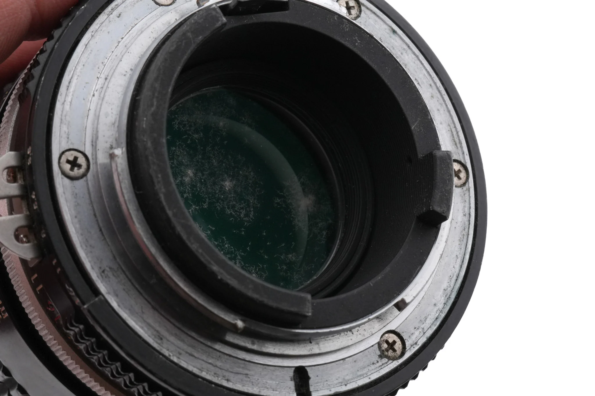 Nikon 135mm f3.5 Nikkor AI - Image 4