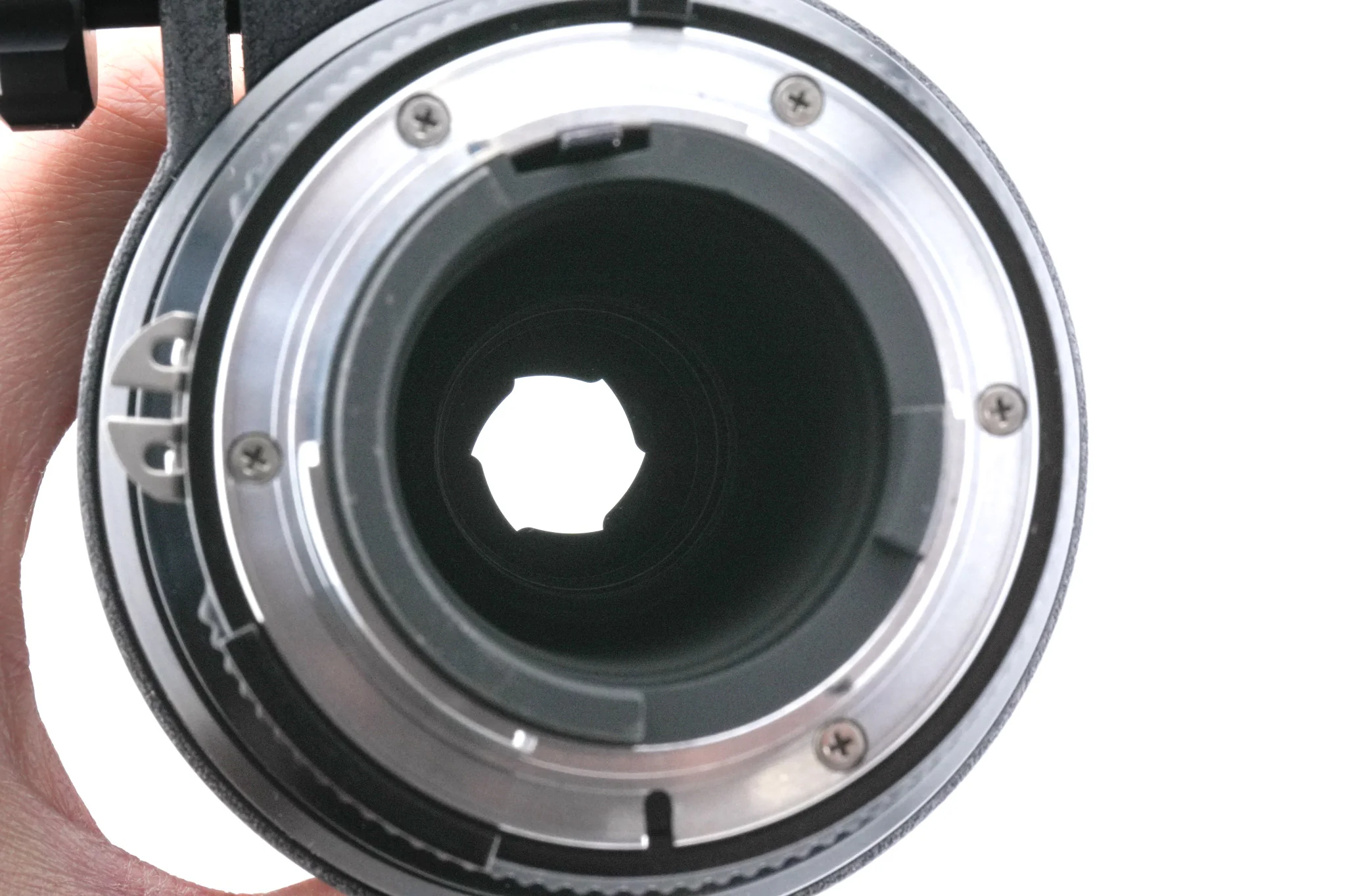 Nikon 300mm f4.5 Nikkor AI - Image 6
