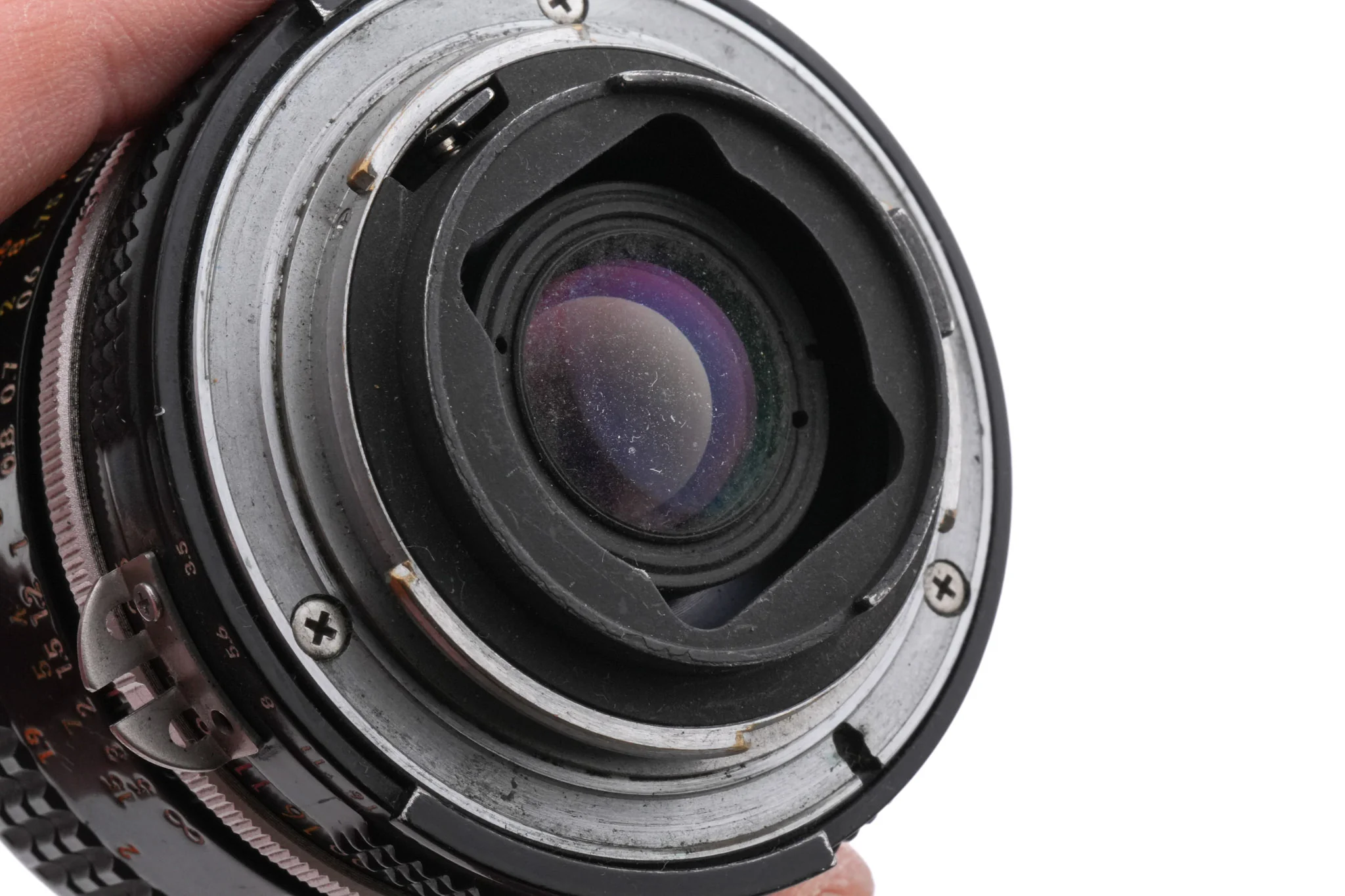 Nikon 55mm f3.5 Micro-Nikkor AI - Image 4