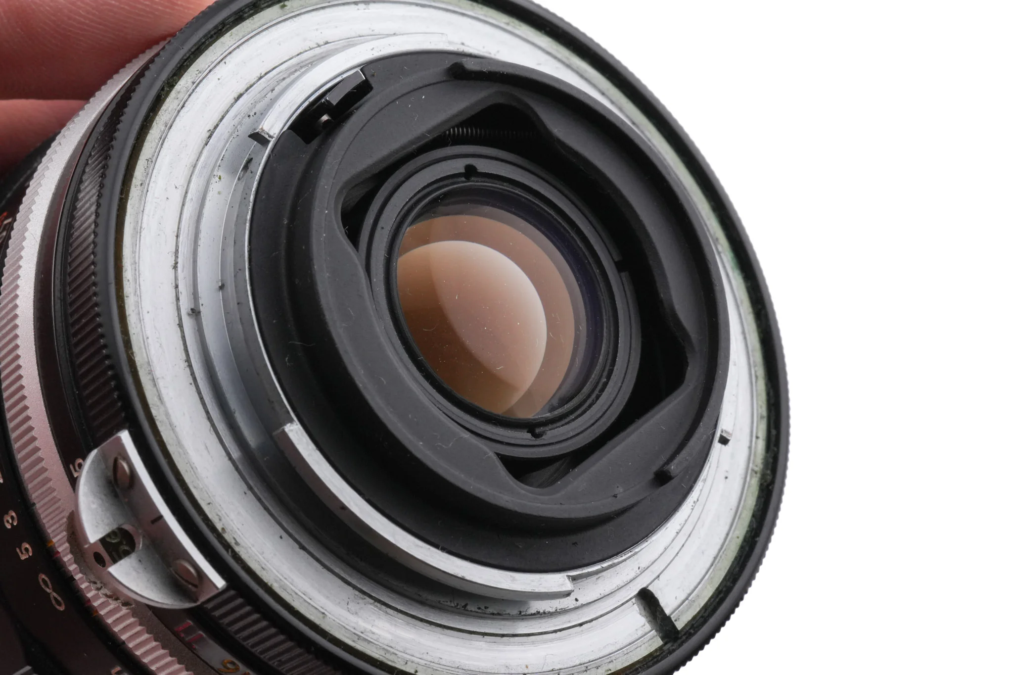 Nikon 55mm f3.5 Micro-Nikkor Pre-AI - Image 4