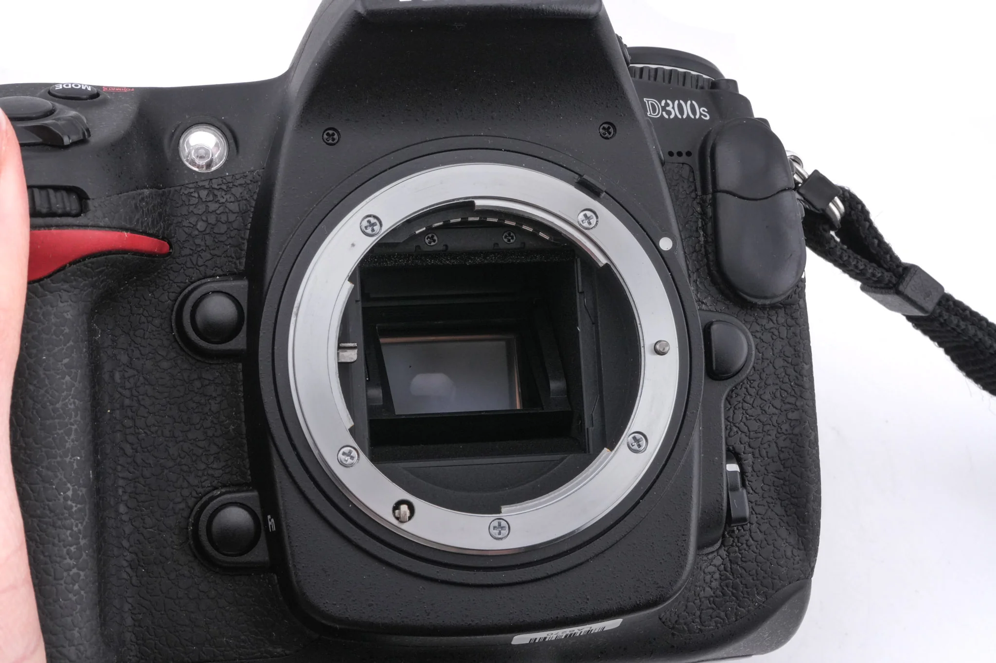 Nikon D300S - Image 8