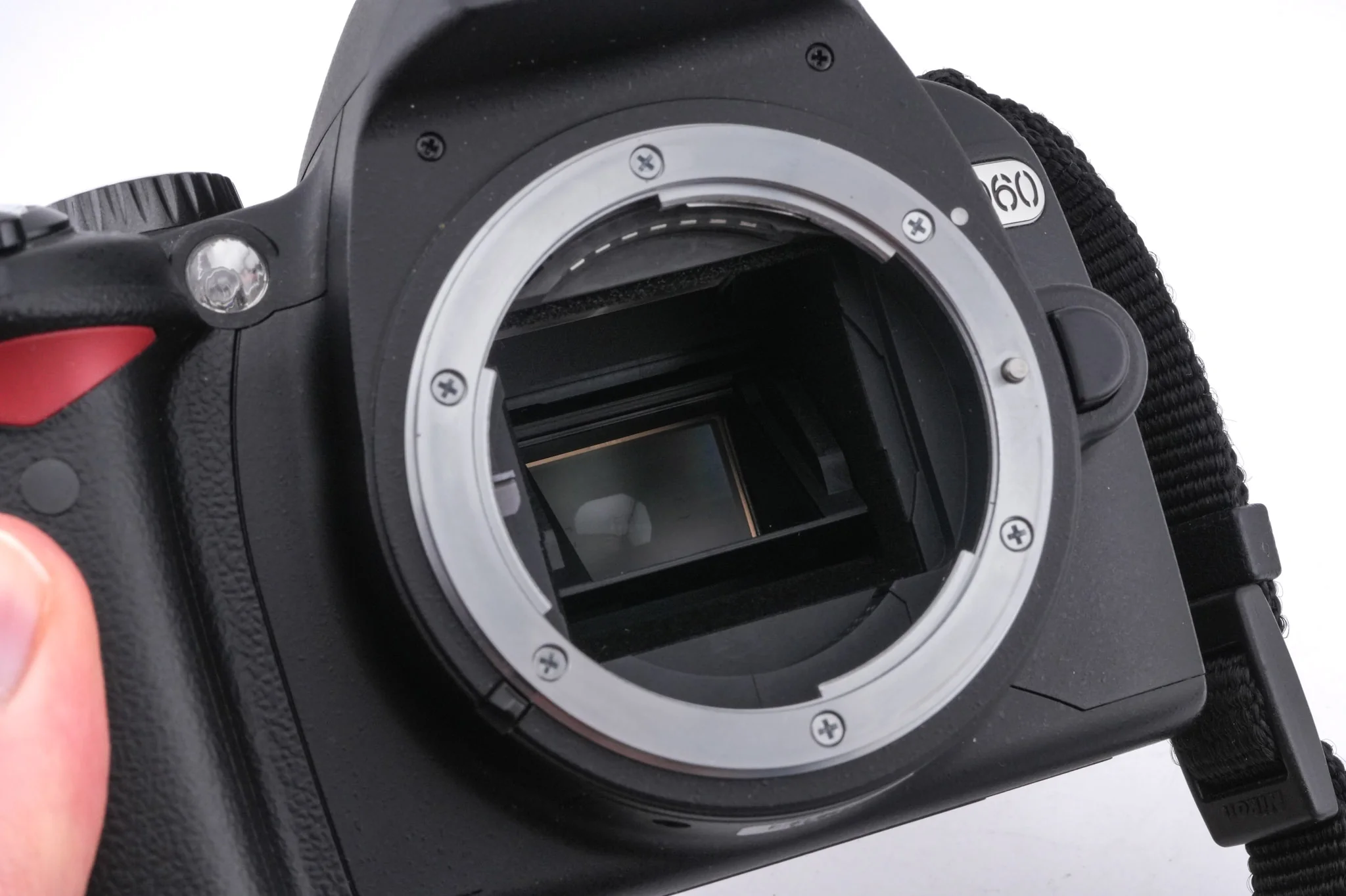 Nikon D60 - Image 8